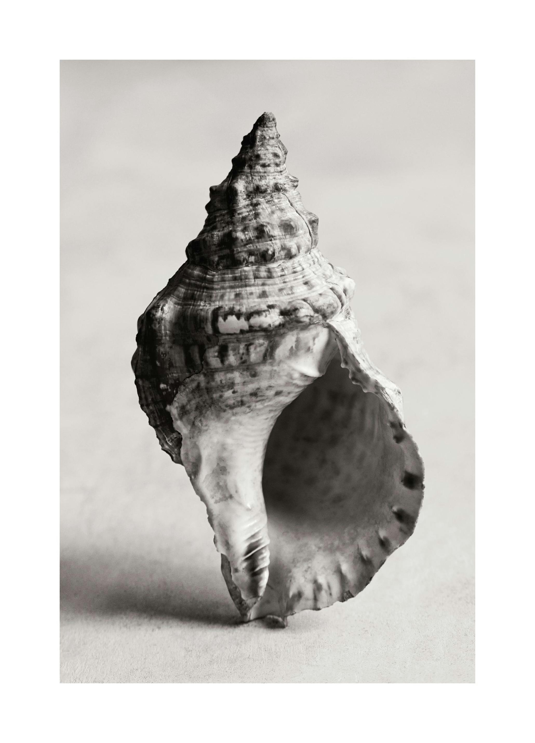 The Art of the Sea Affiche (30x40 cm) - Tableaux de la mer