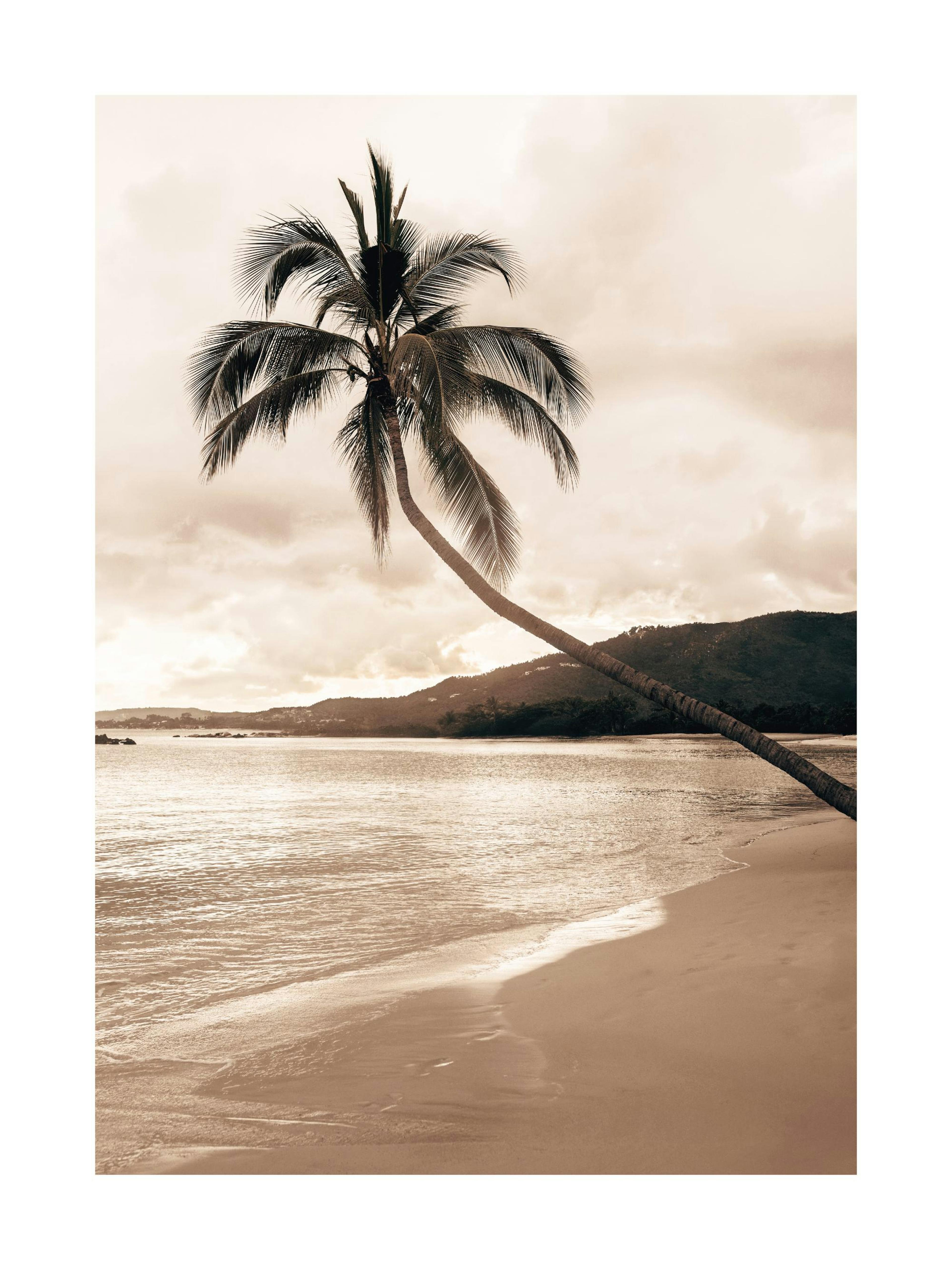Golden Palm Trees Affiche