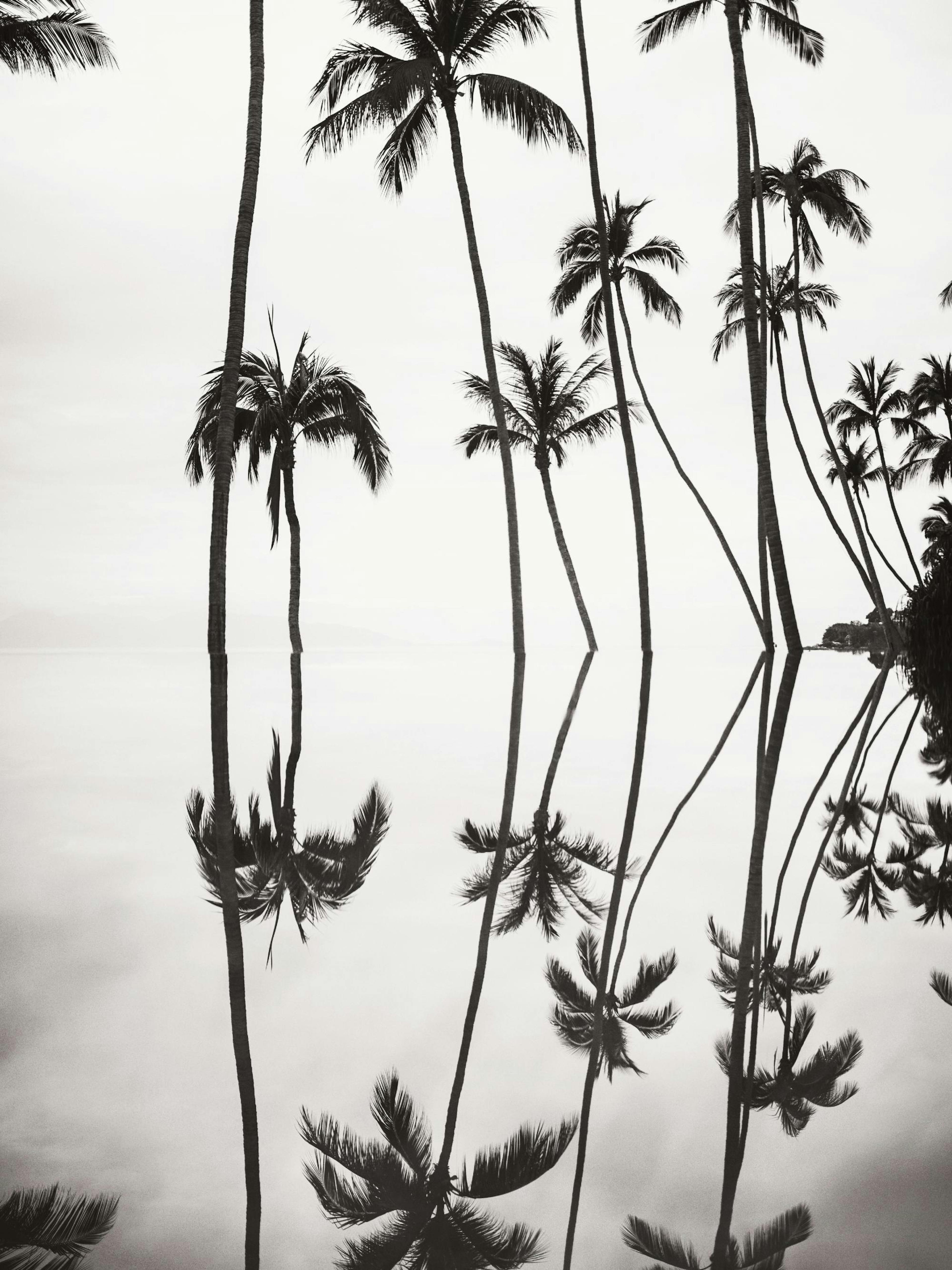 Tranquil Reflection Poster