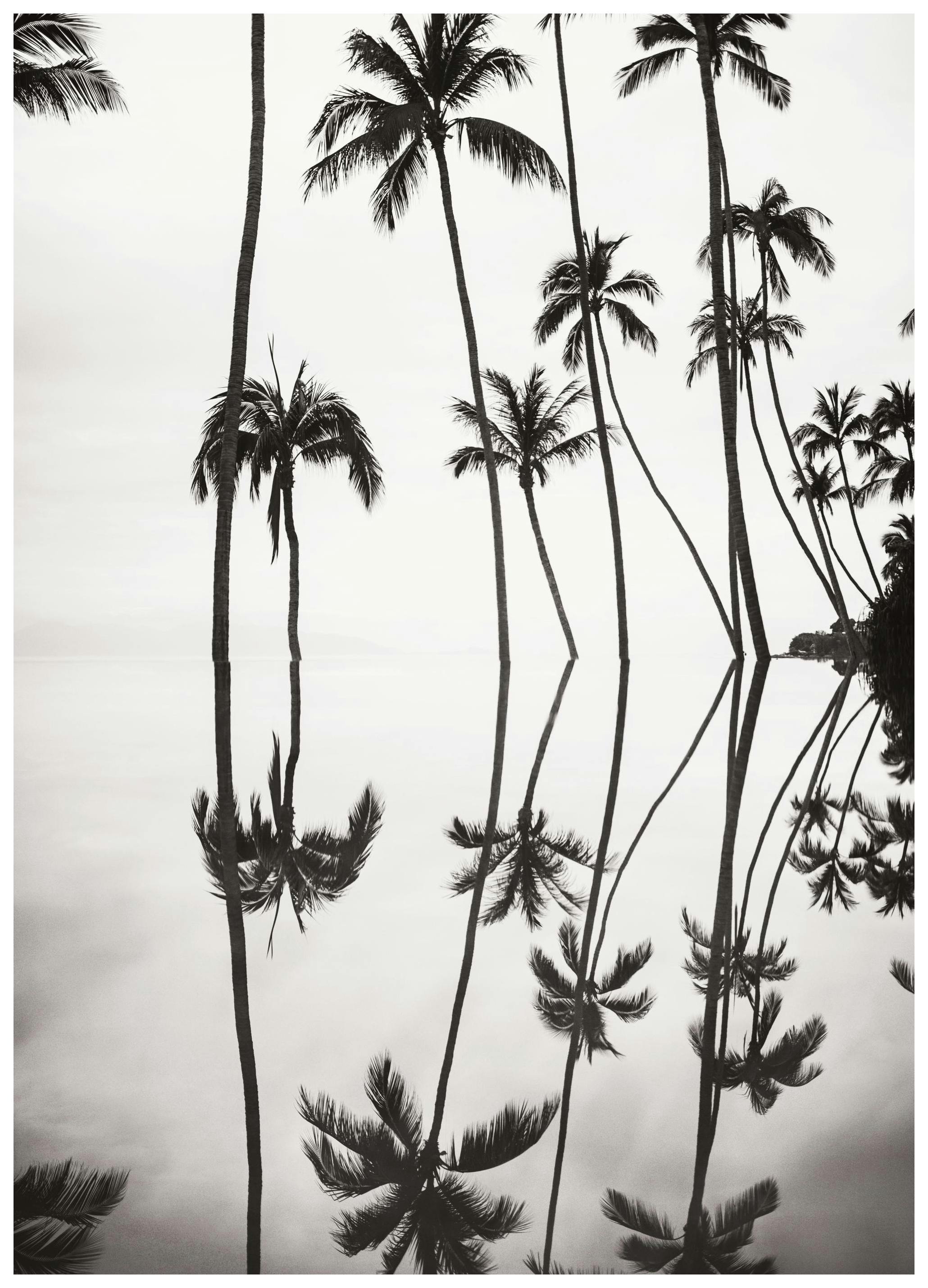 Prints - Tranquil Reflection Print (50x70 cm) - Landscape prints