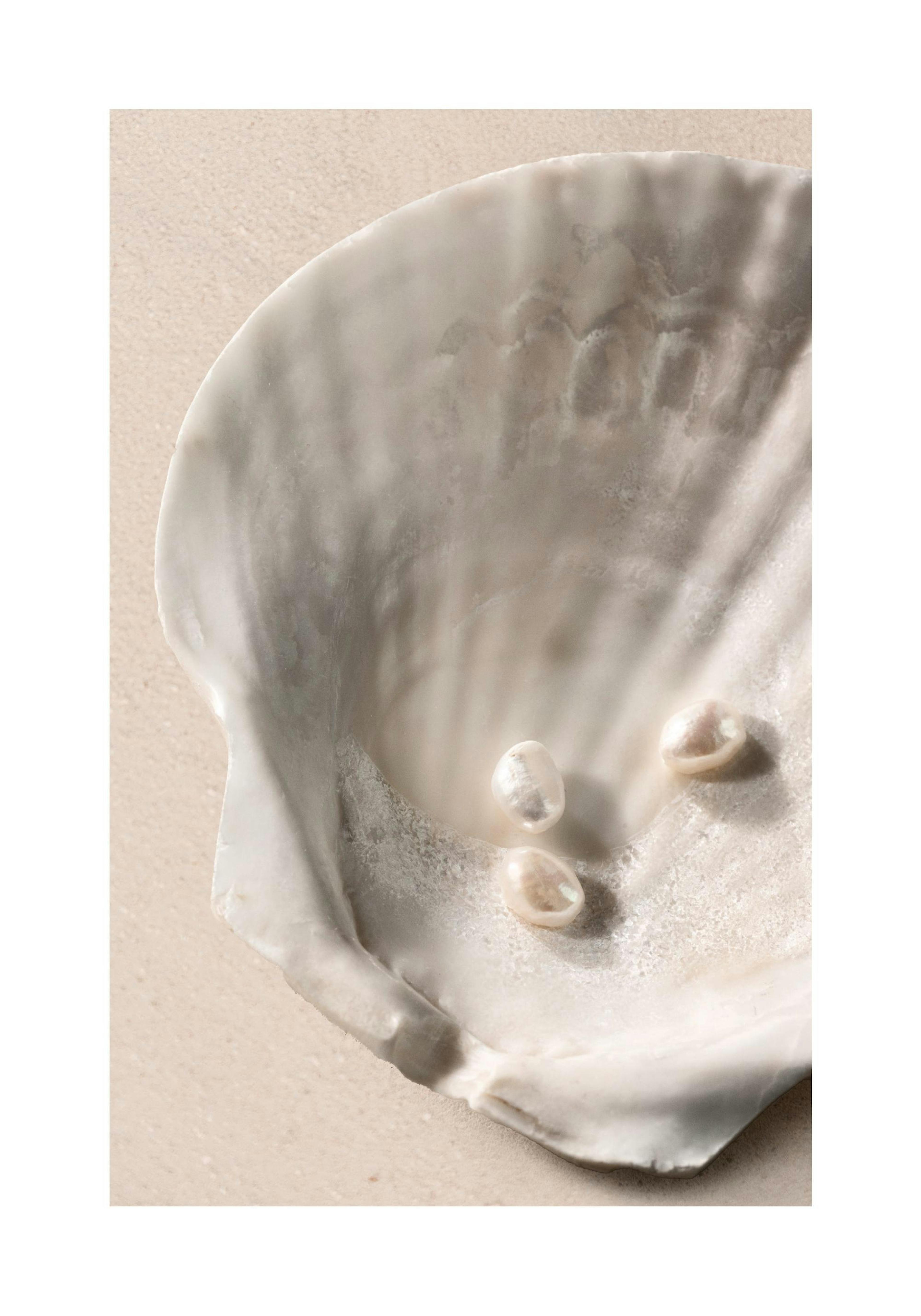 Ocean's Jewels Print