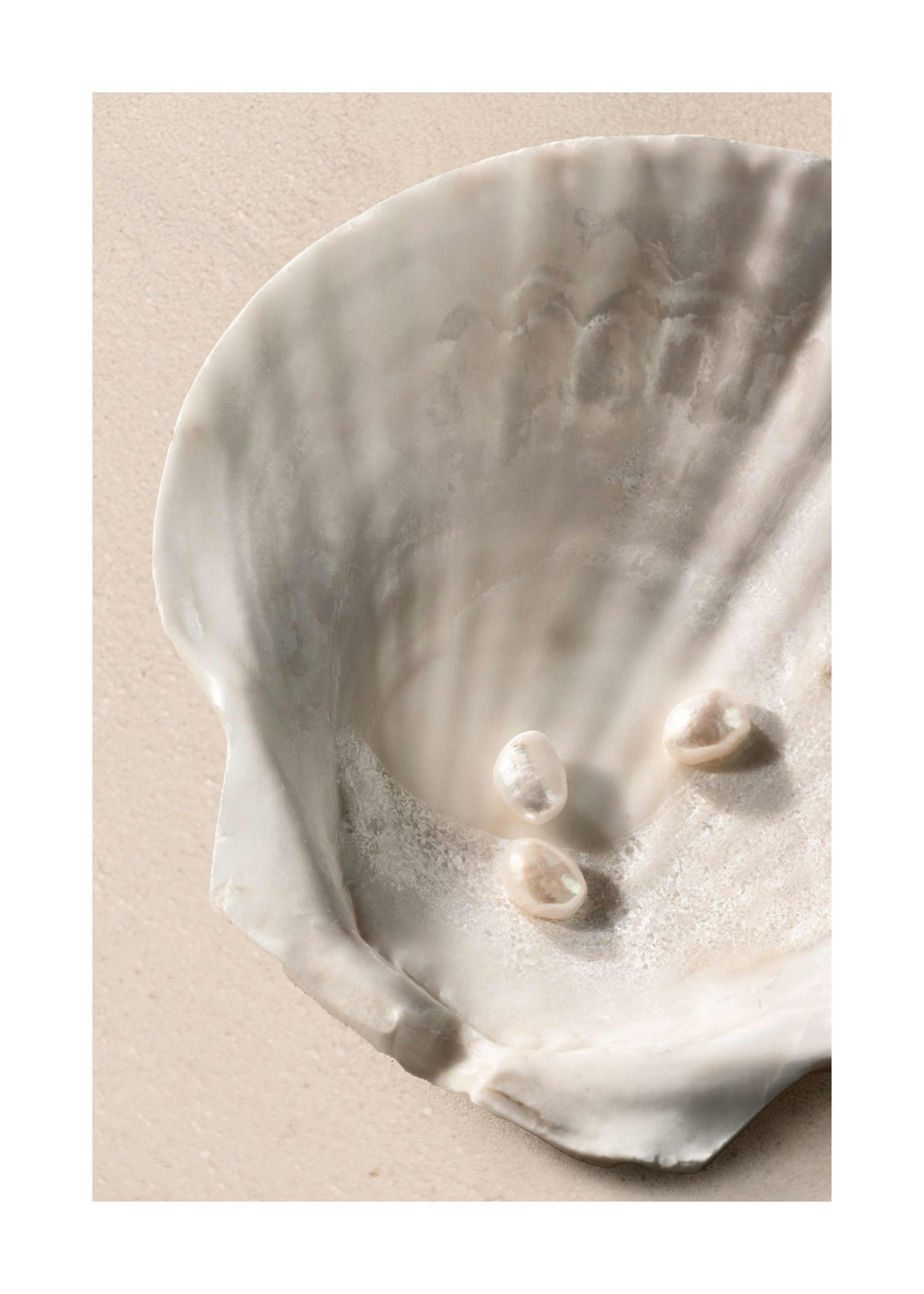 Ocean's Jewels Print 0