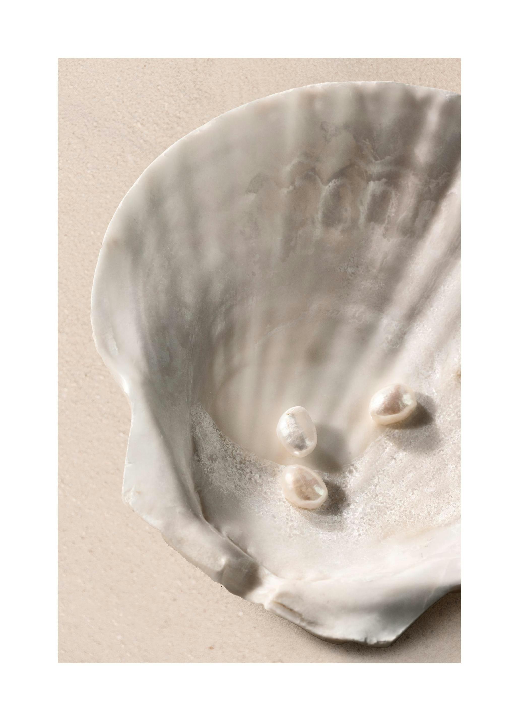 Ocean's Jewels Affiche (50x70 cm) - Tableaux de plages