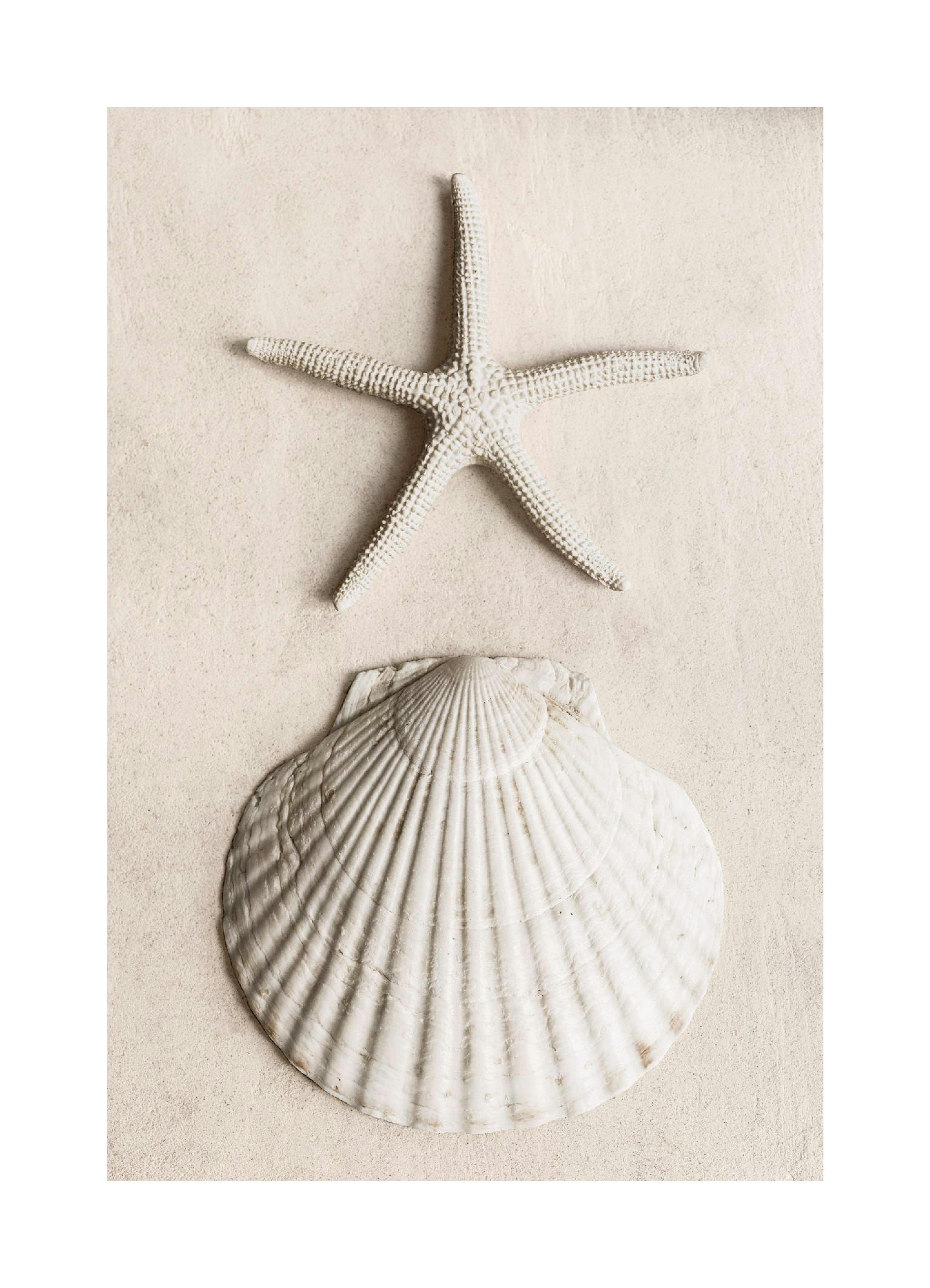 Tidal Secrets Poster