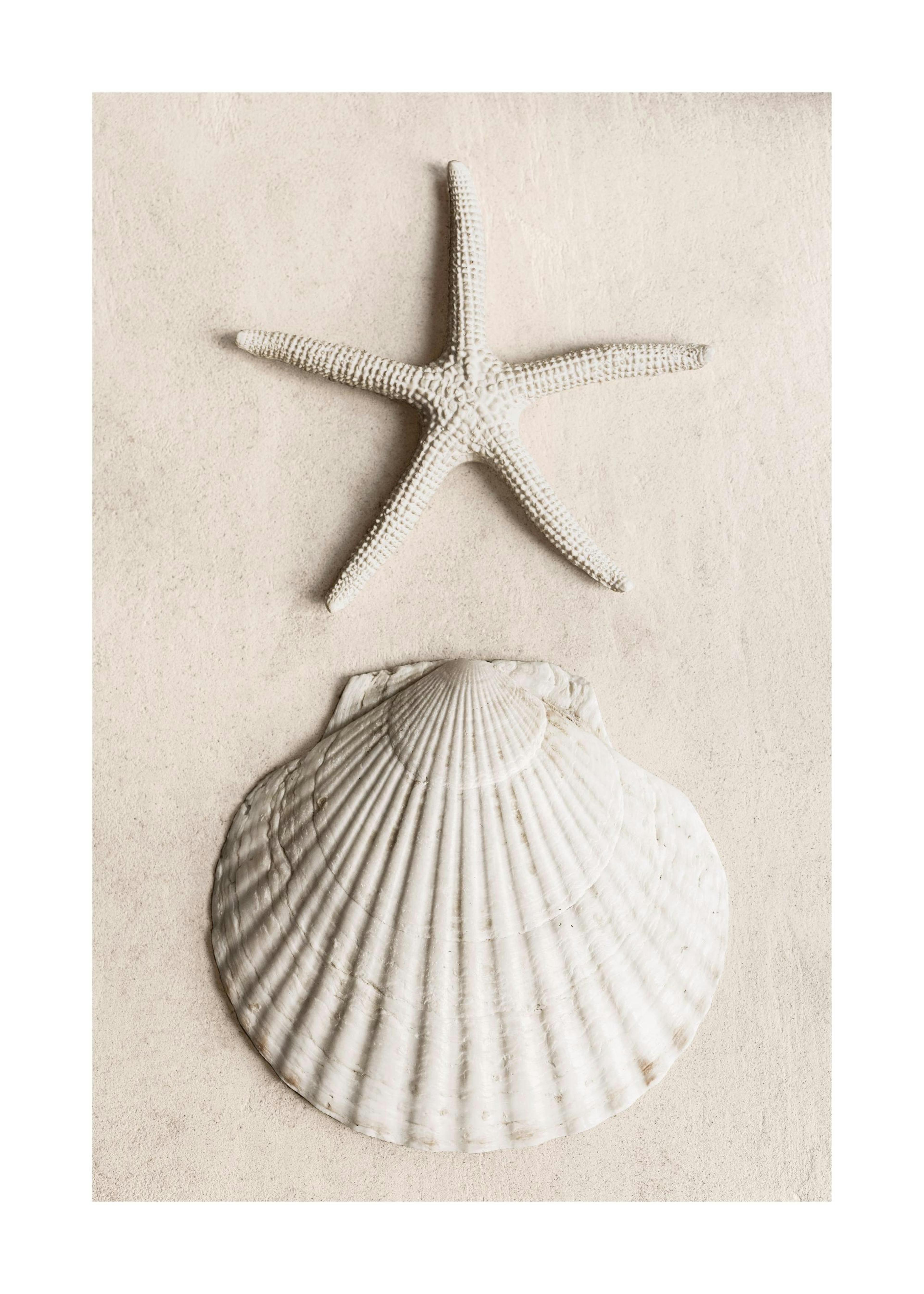 Tidal Secrets Poster 0