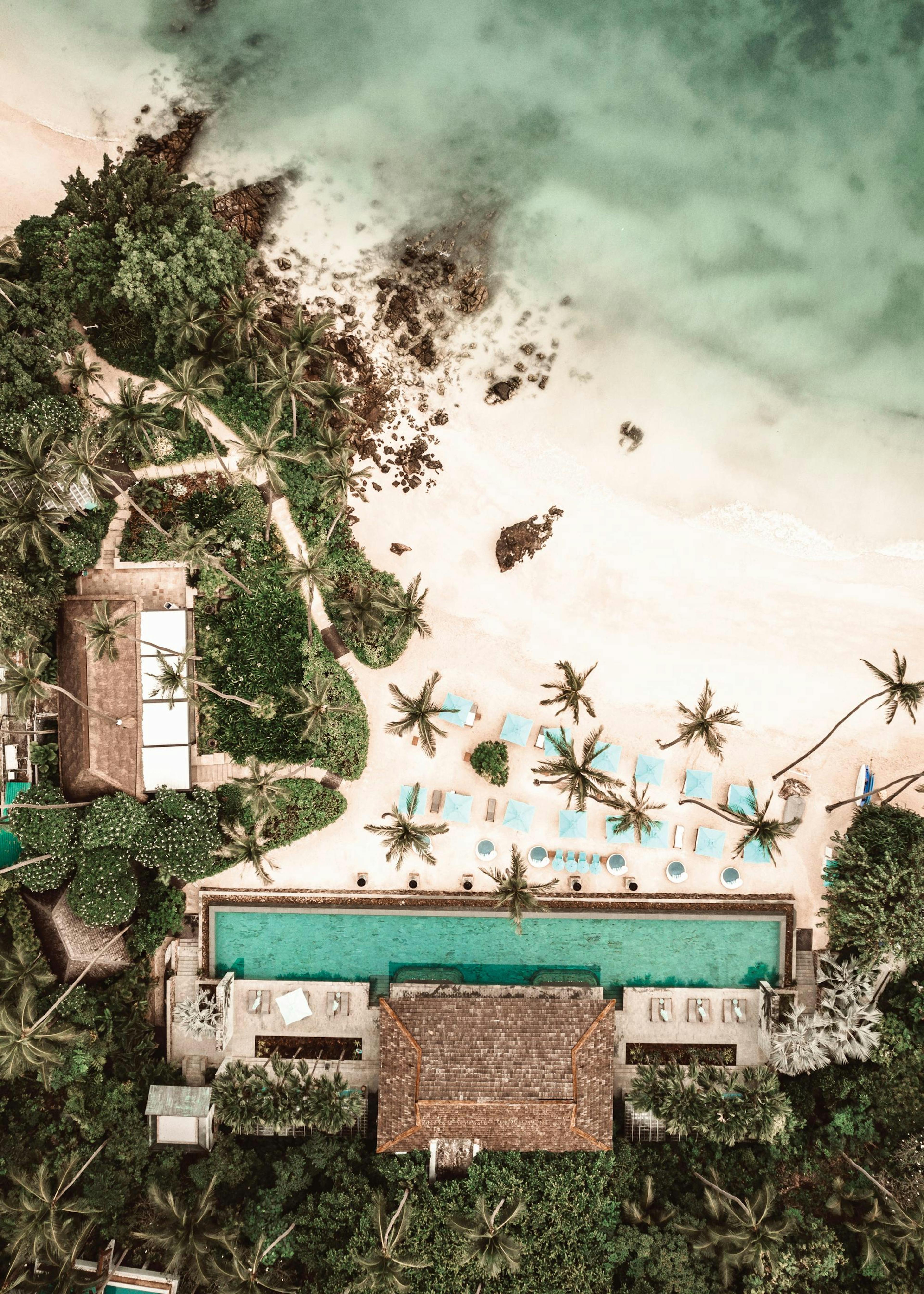 Tropical Escape Print 0