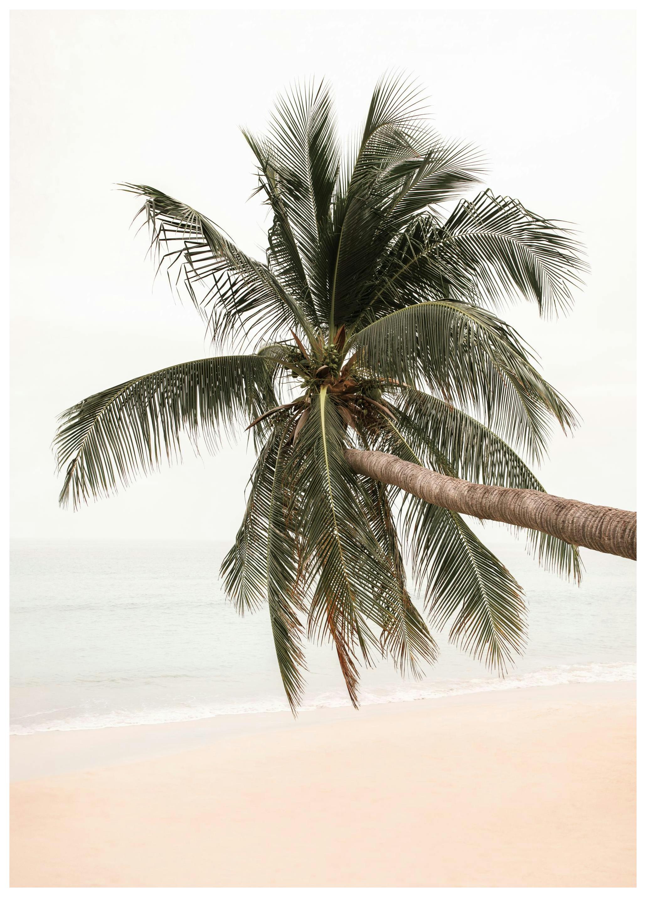 Prints - Waves and Wonder Print (30x40 cm) - Beach prints