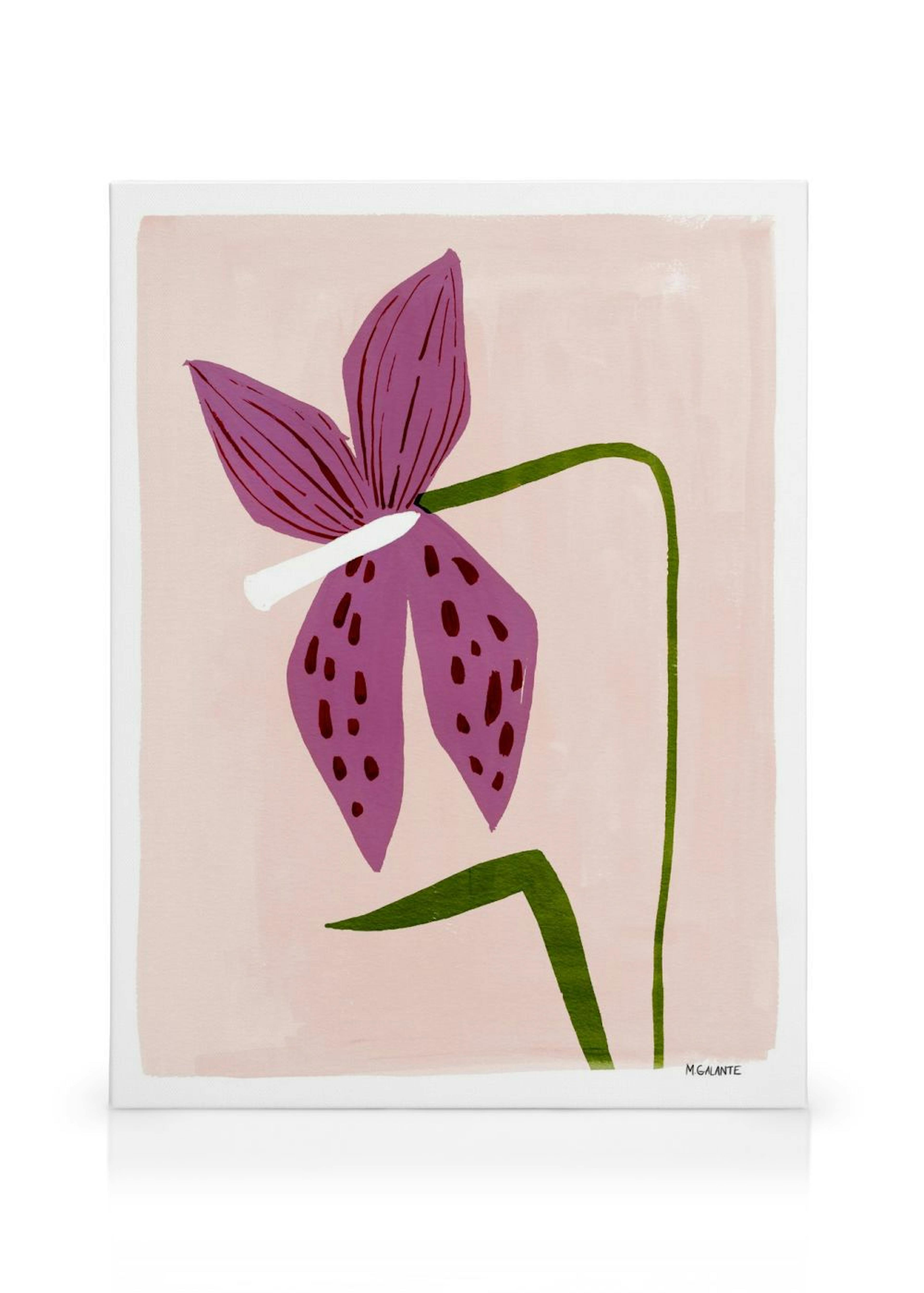 Product image: 1
