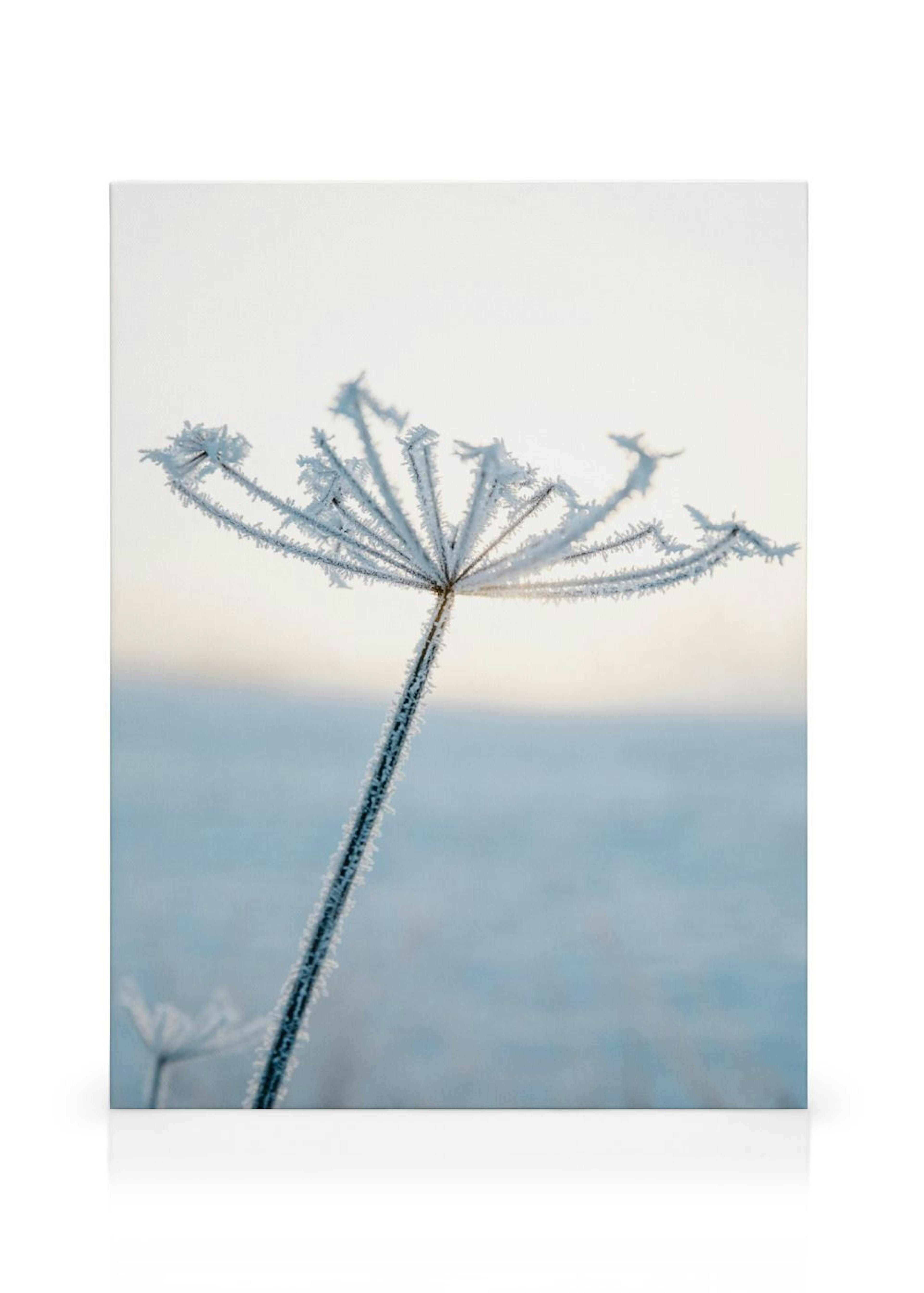 Product image: 1