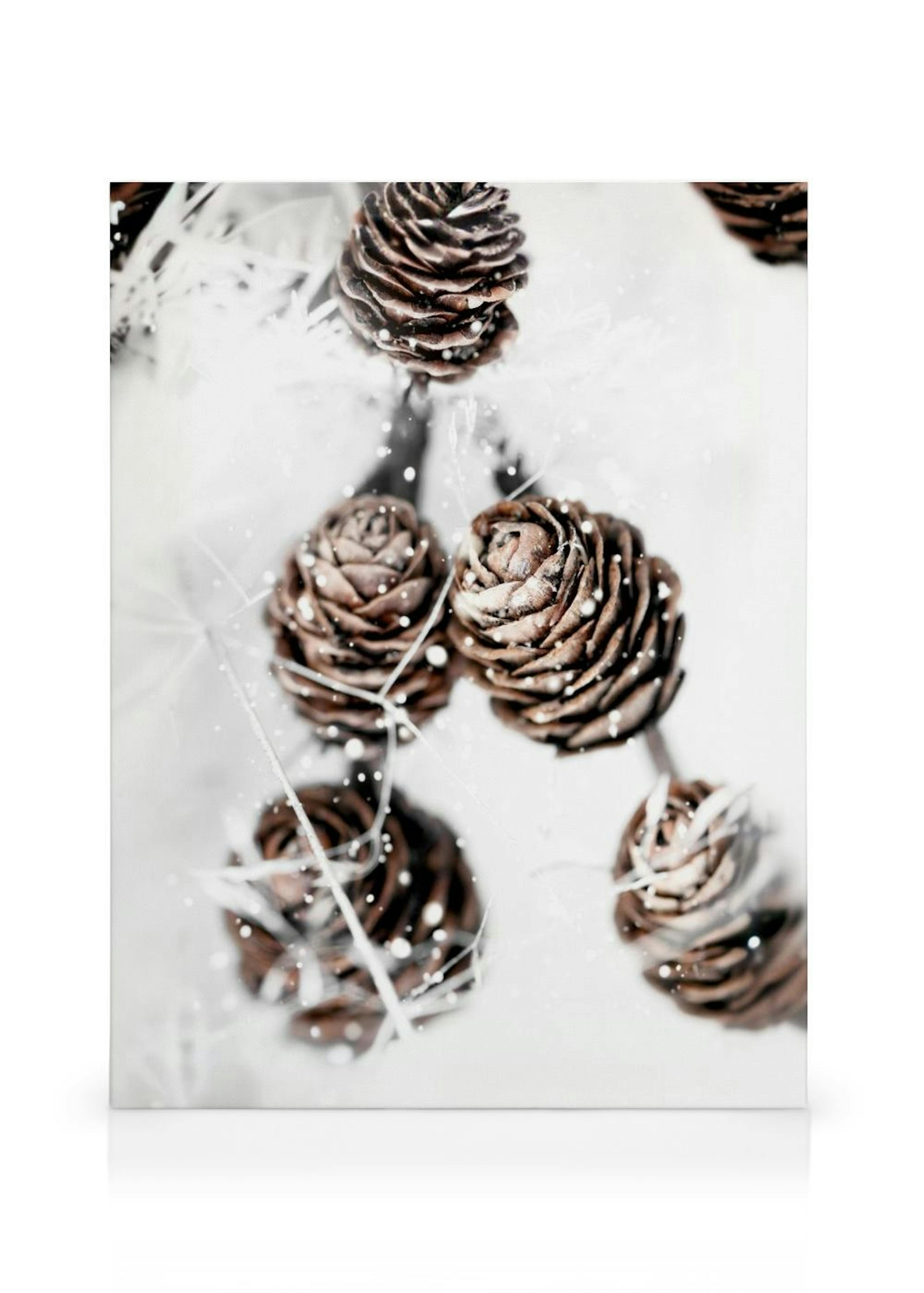 Product image: 1