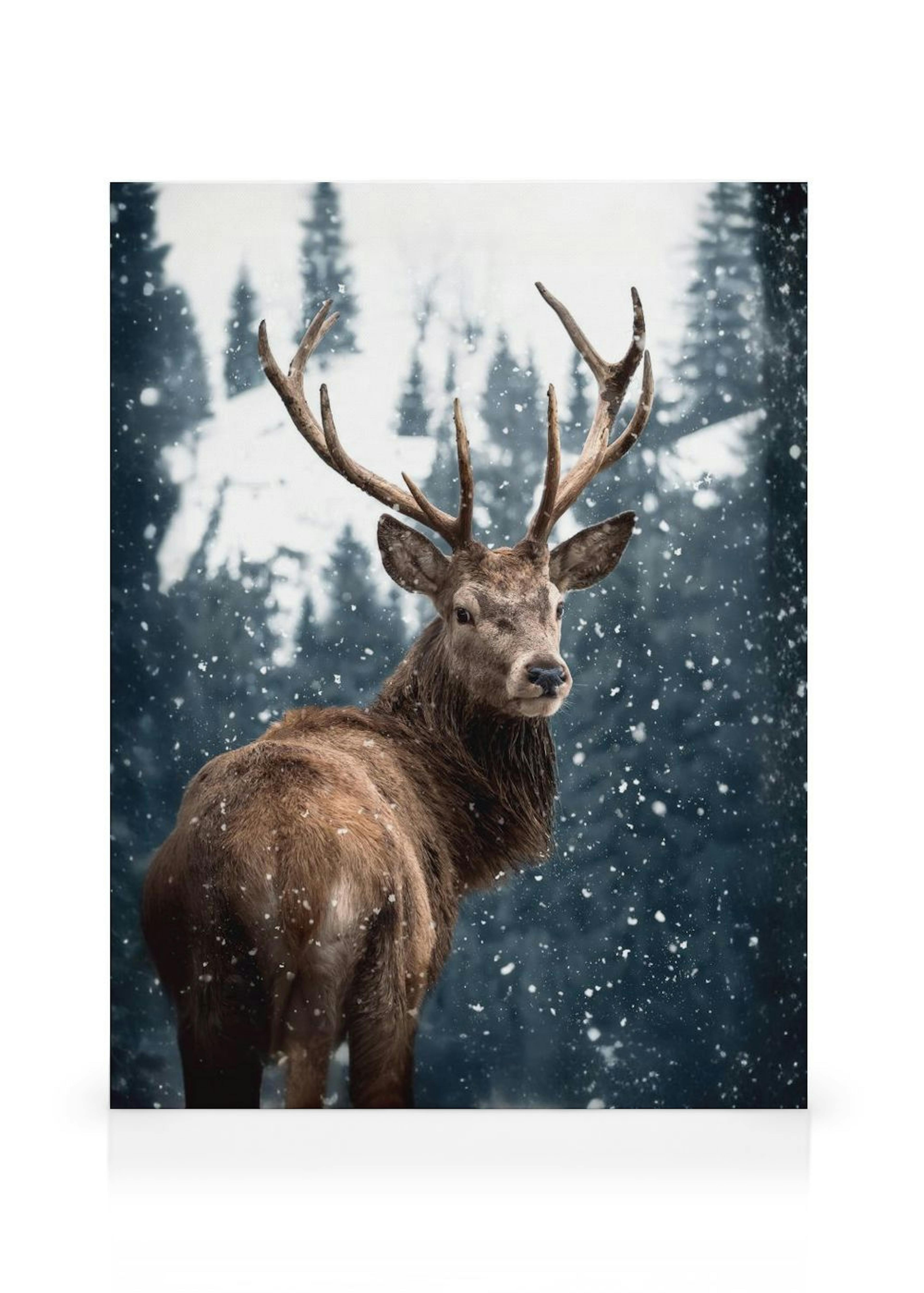 Product image: 1