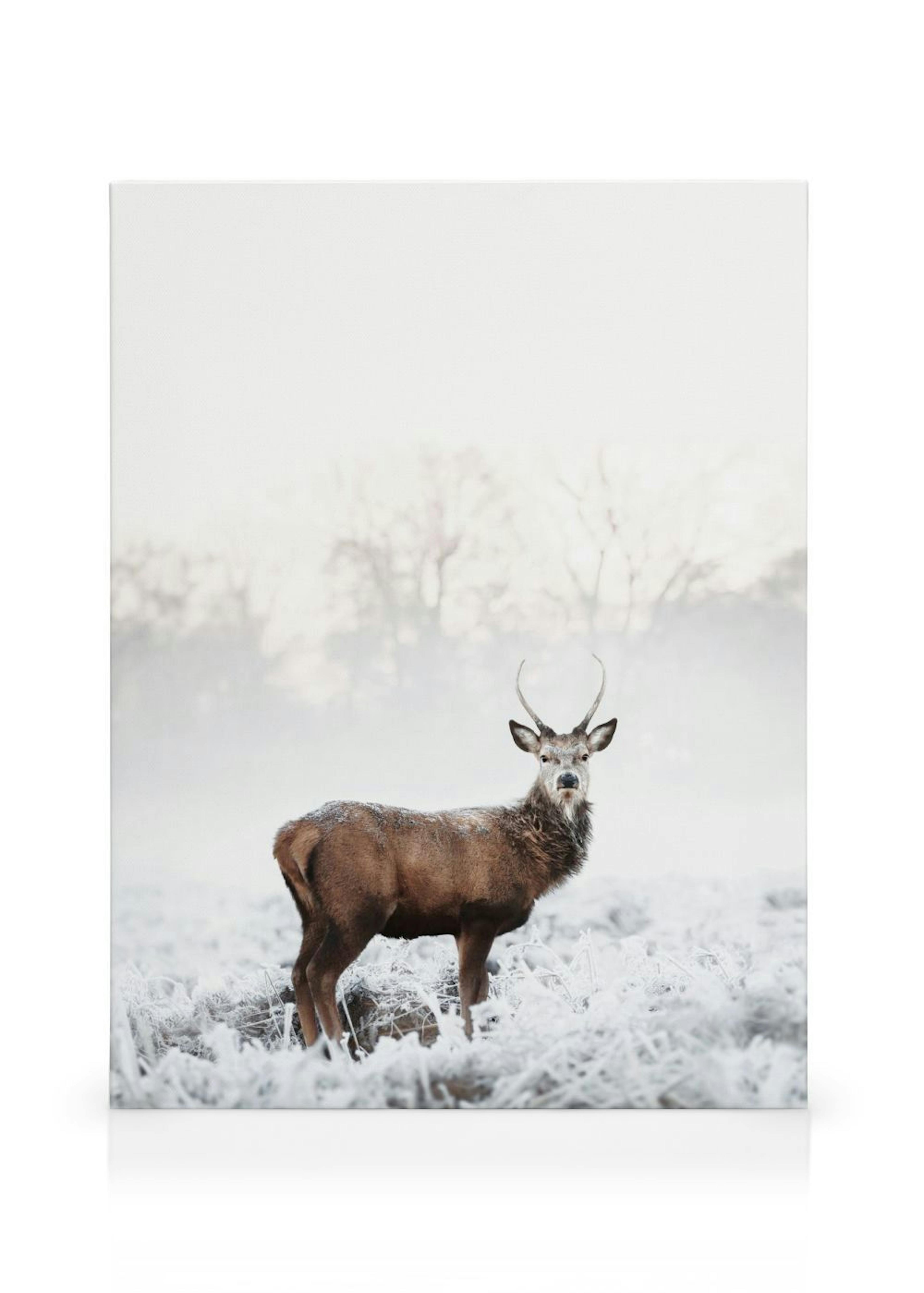 Product image: 1