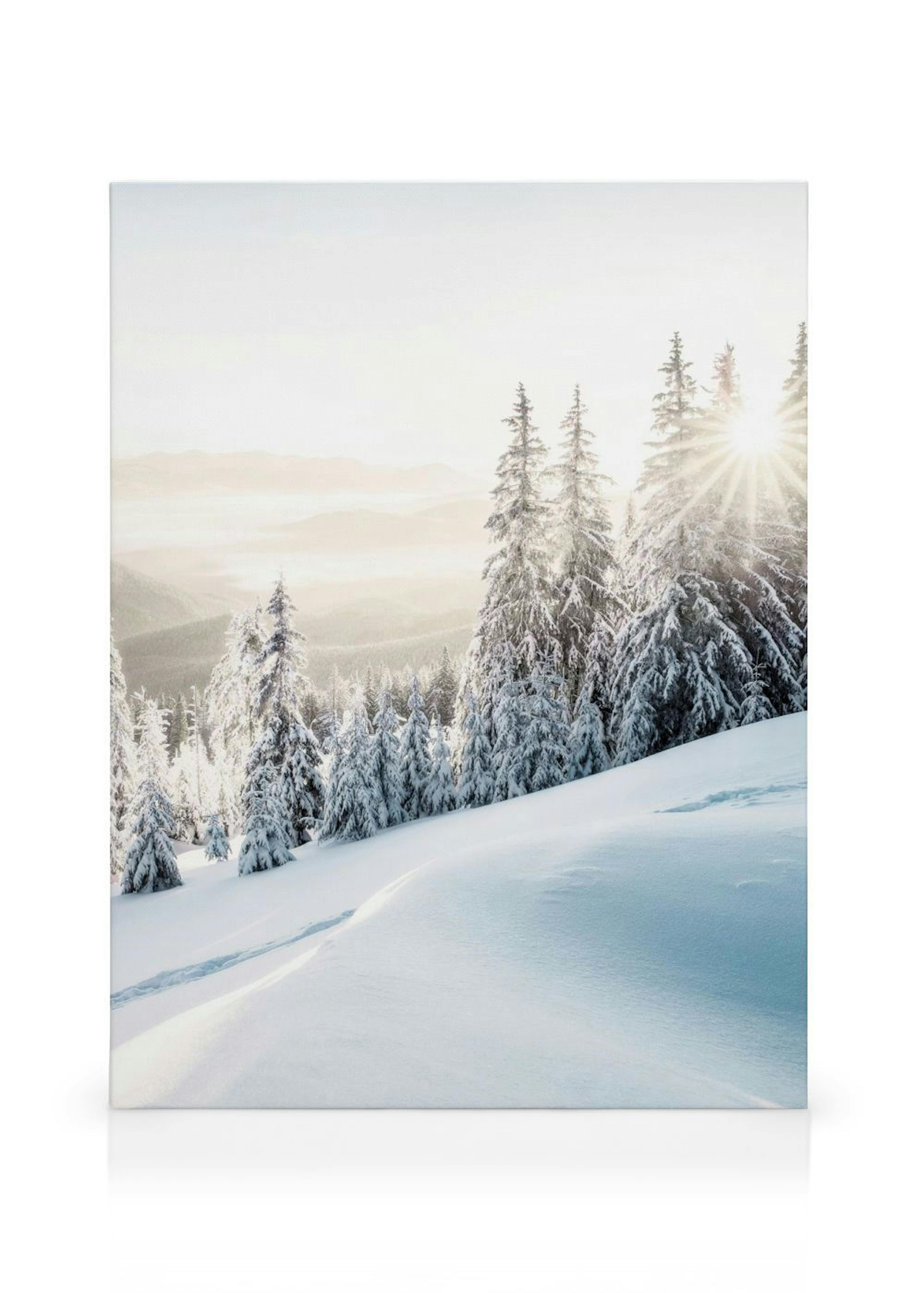 Product image: 1