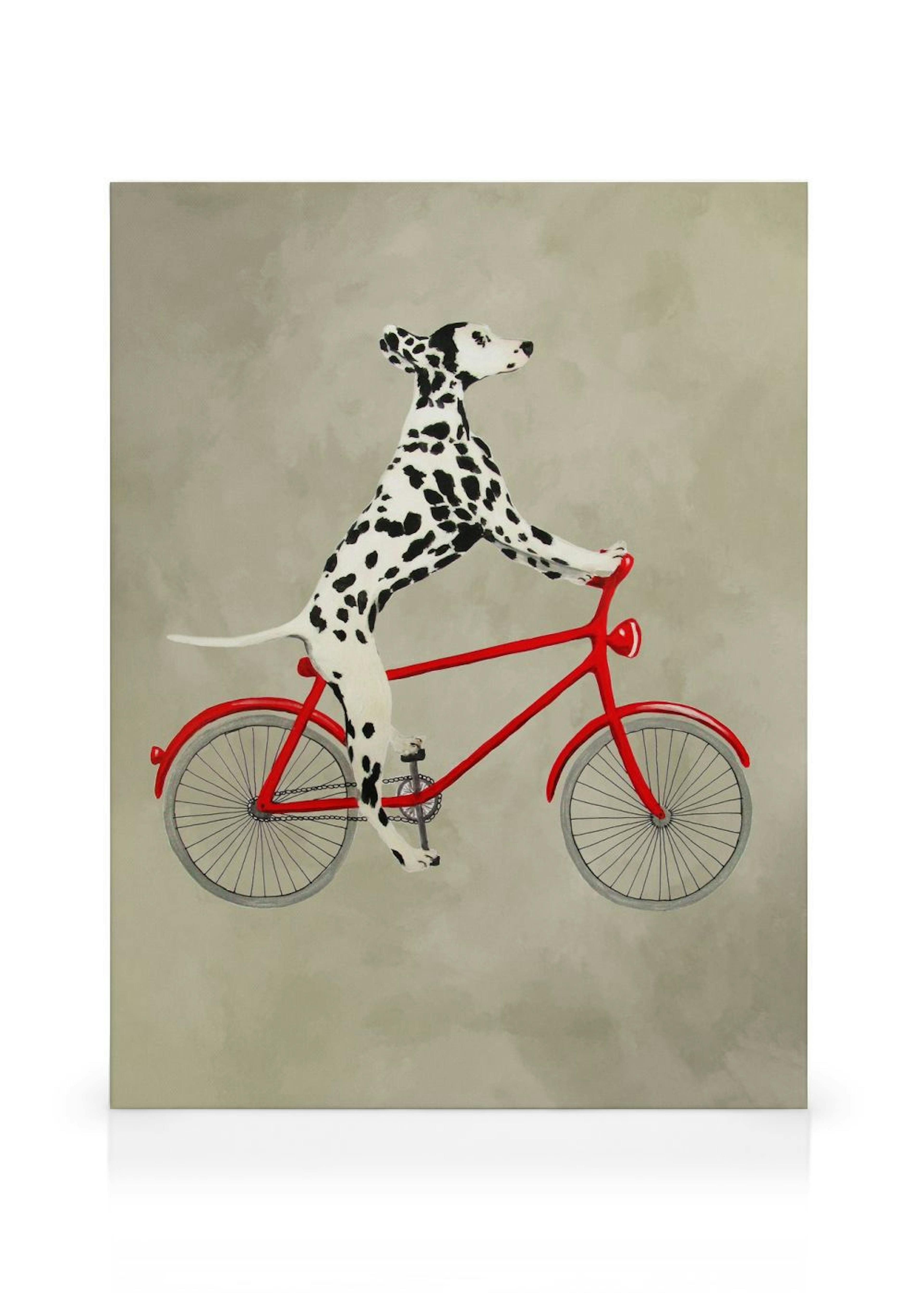 Coco De Paris - Dalmatian on Bicycle Canvas