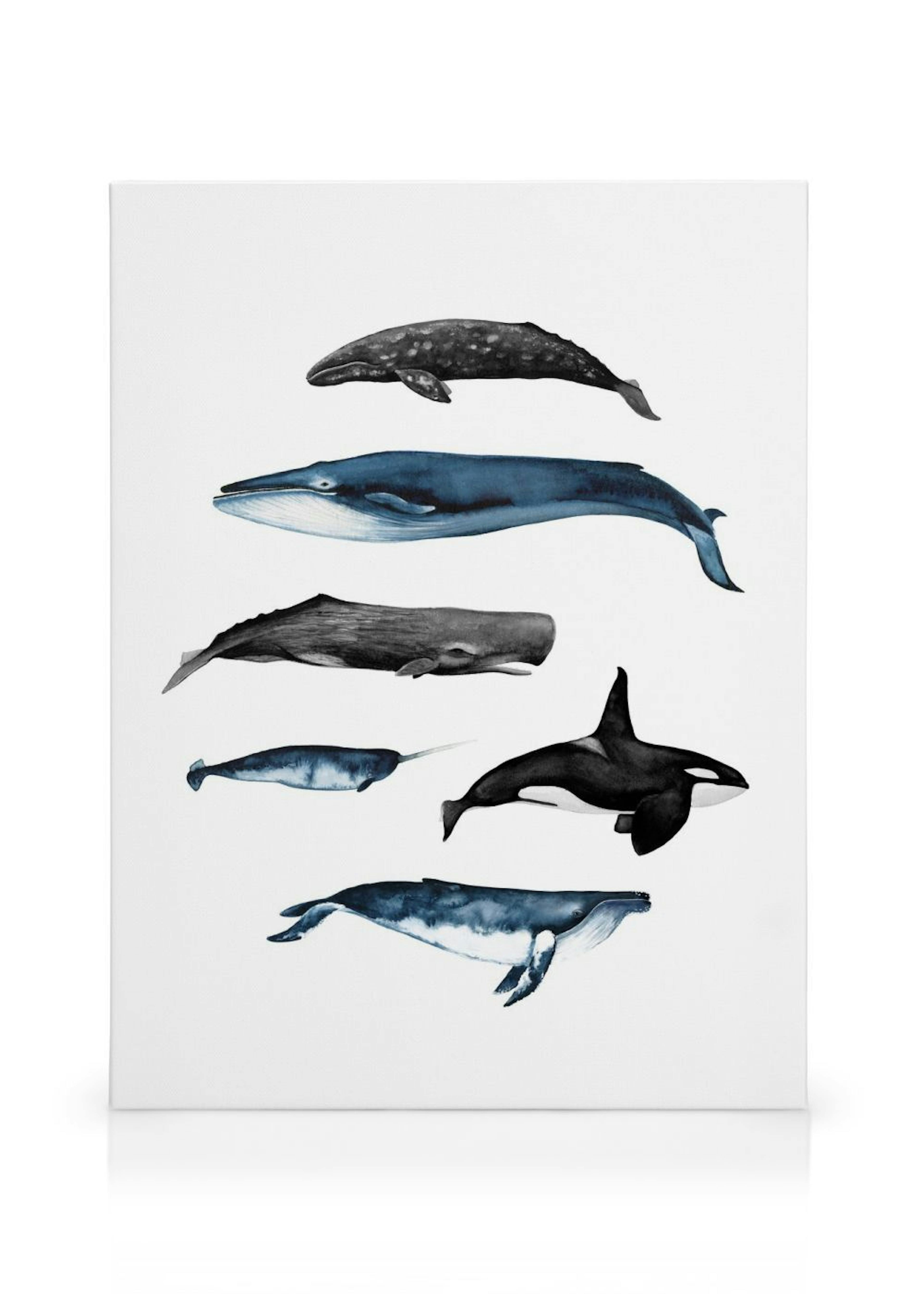 Whales Poster