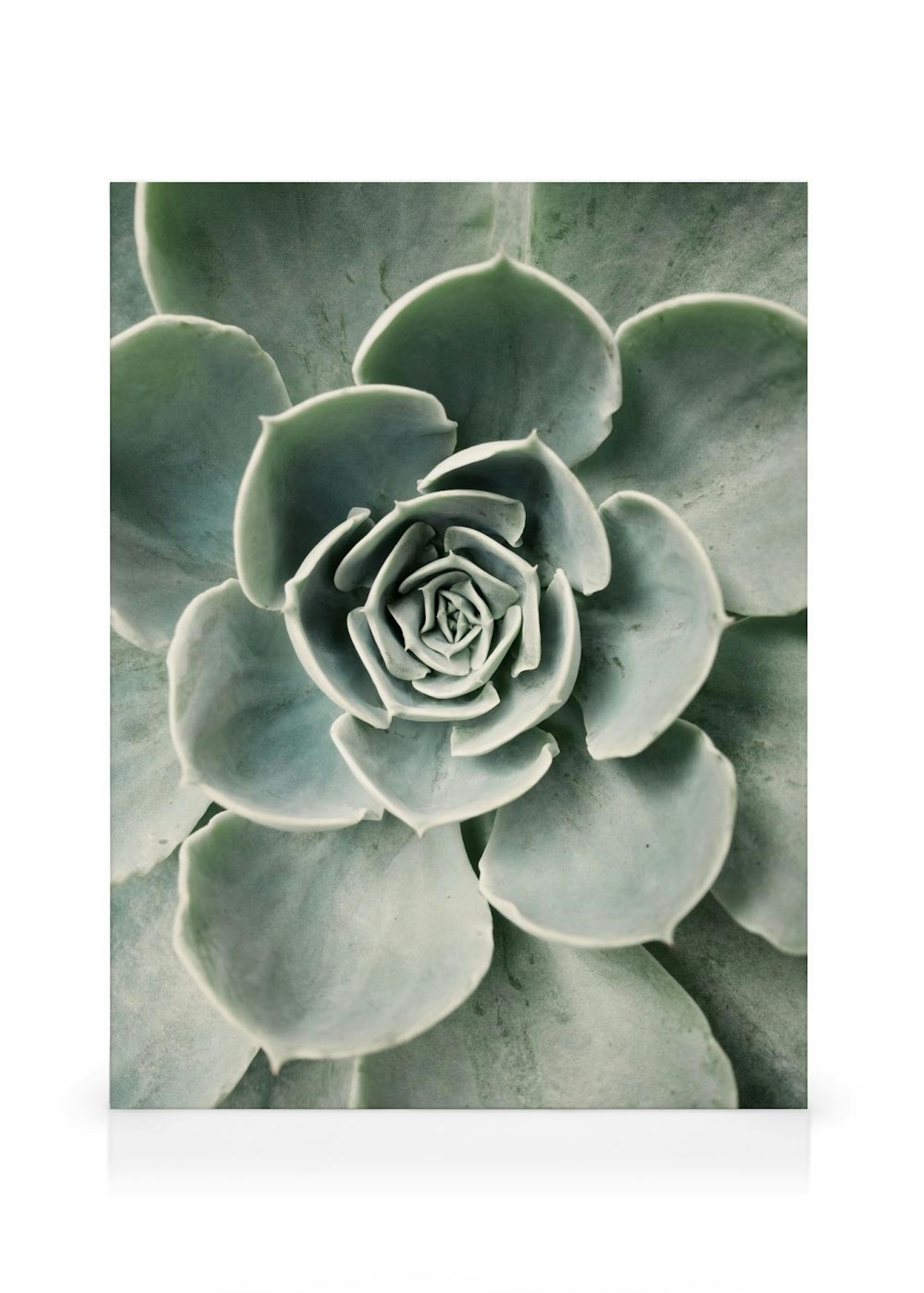 Product image: 1