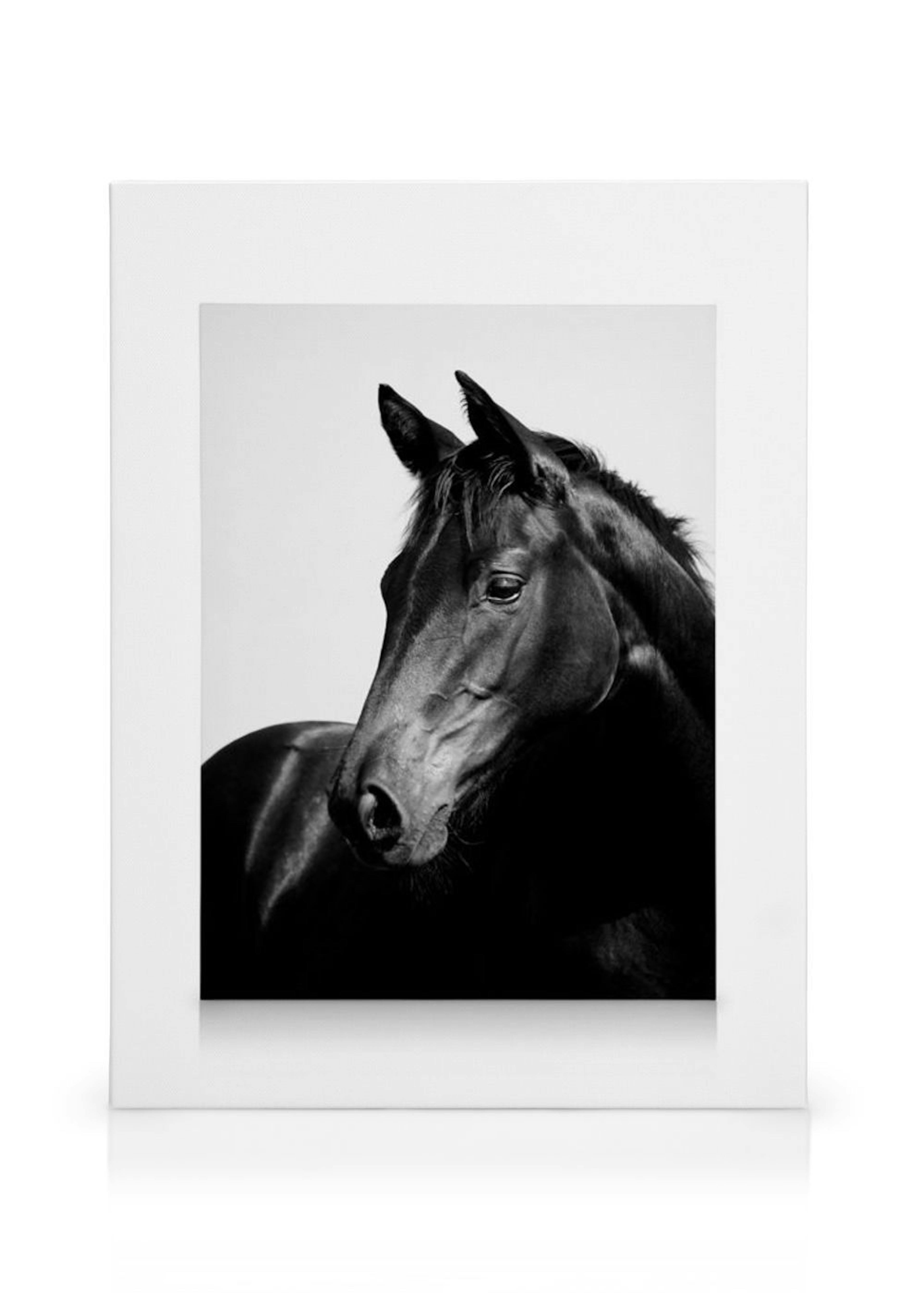 Product image: 1