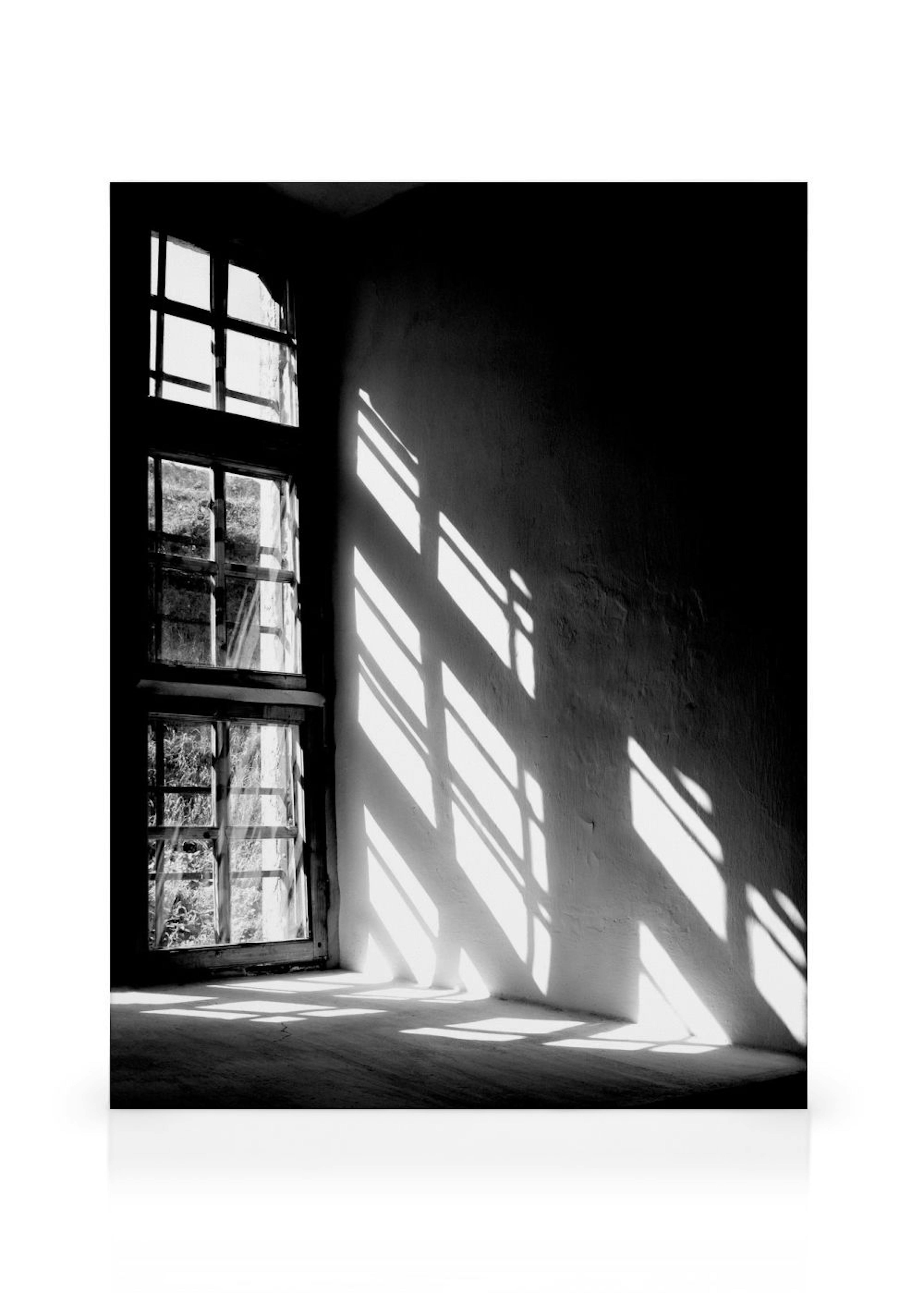 Let The Light In, Obraz na płótnie
