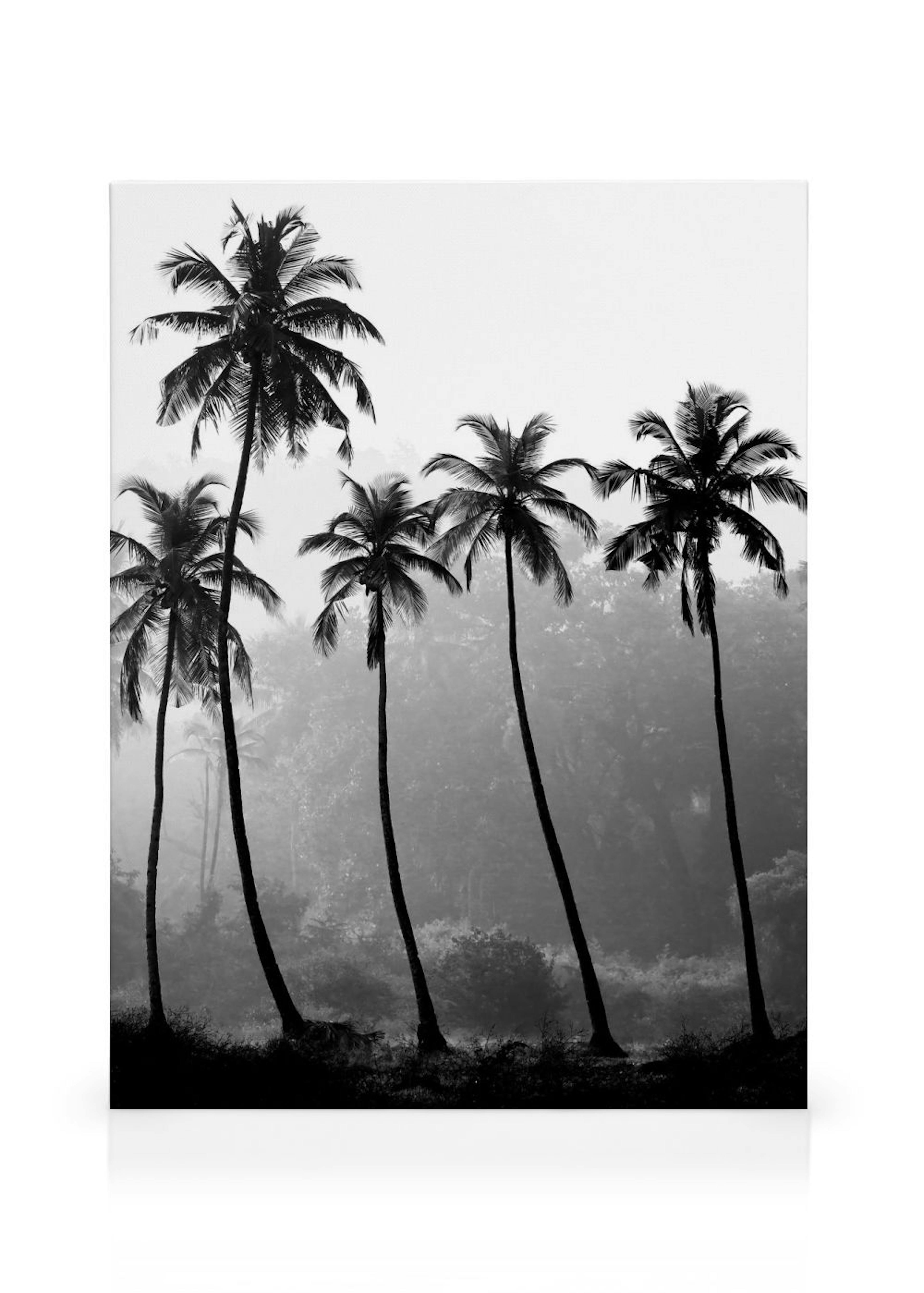 Palm Trees Canvas print