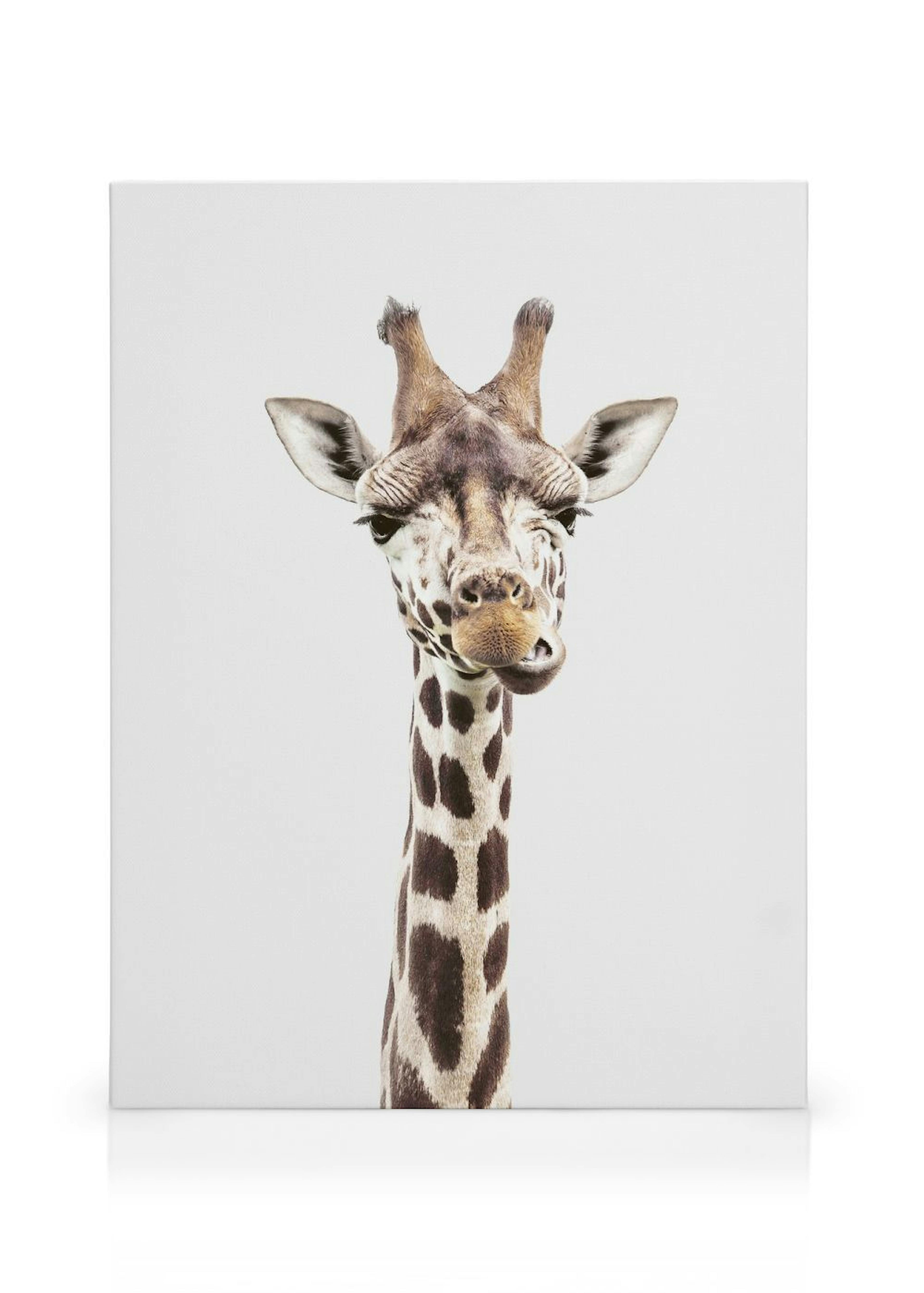 Product image: 1