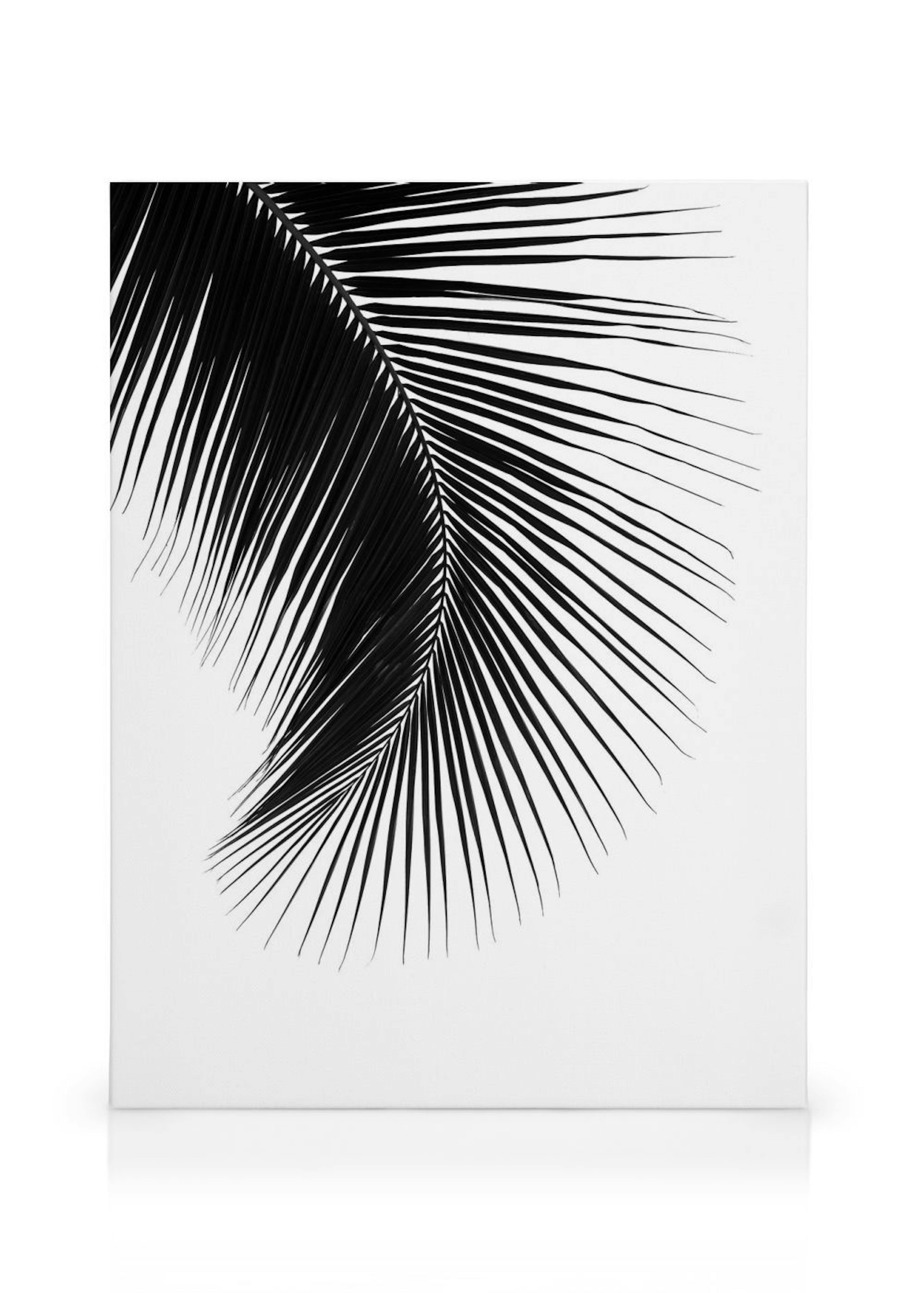Product image: 1