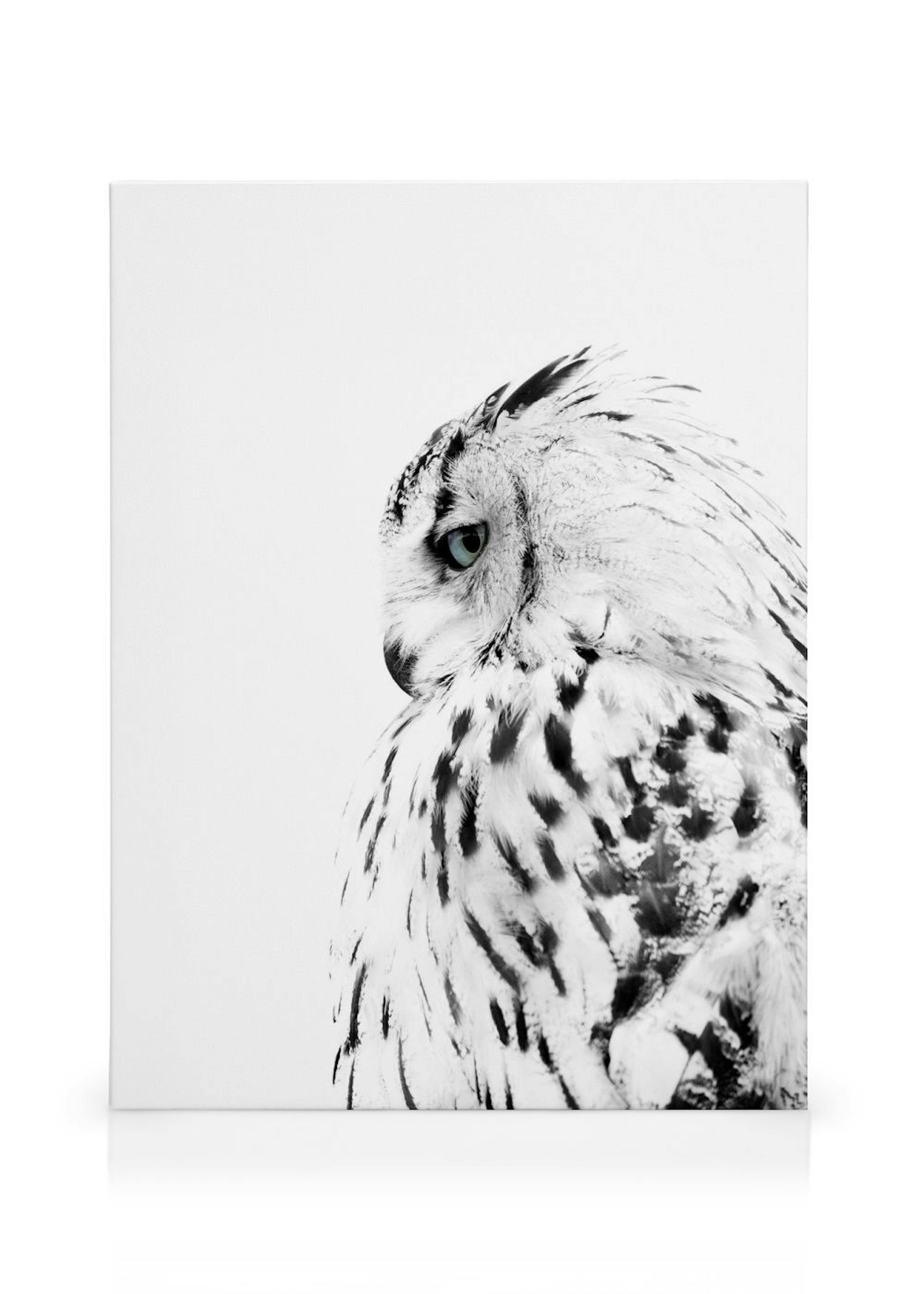 Product image: 1