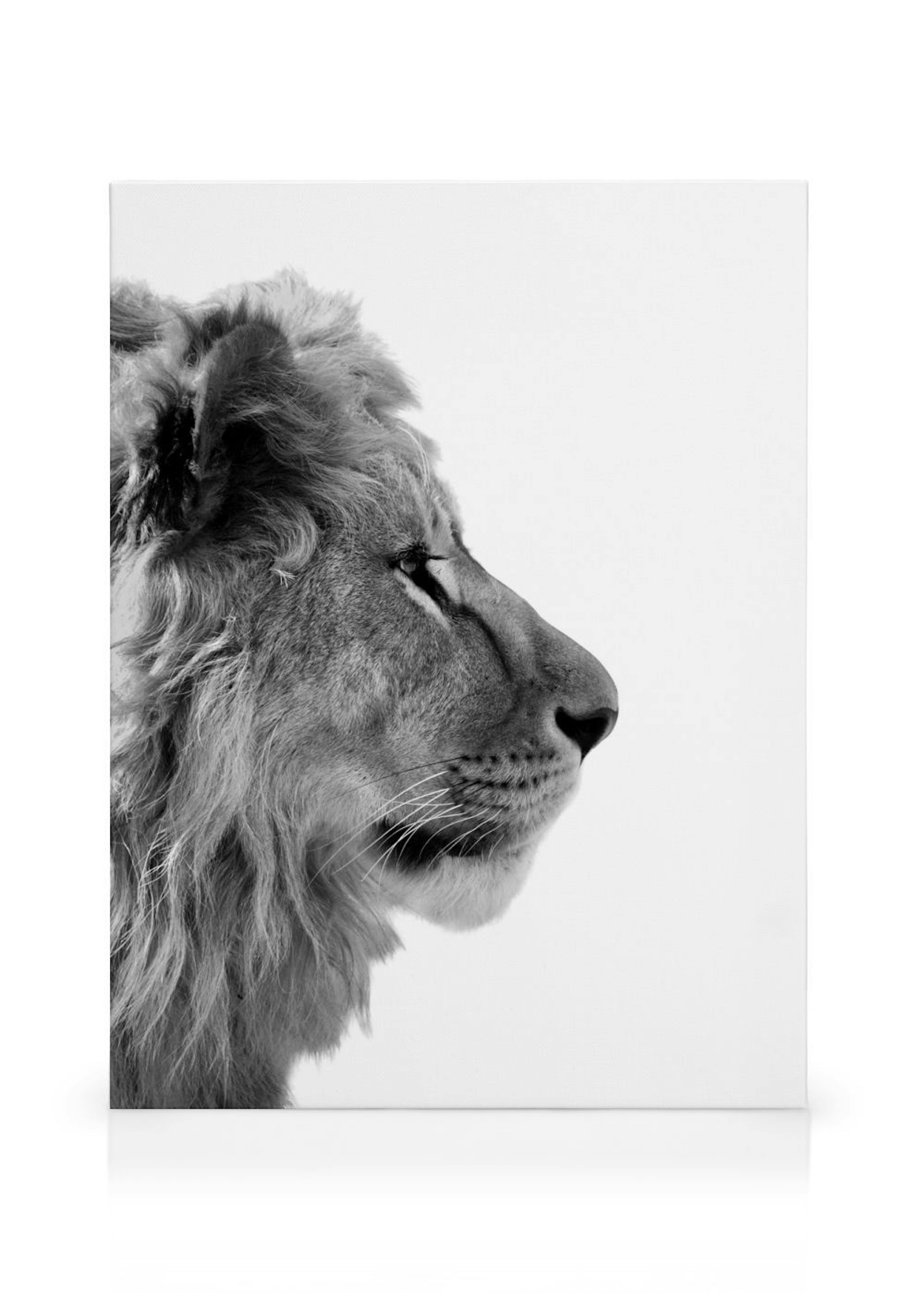 Product image: 1