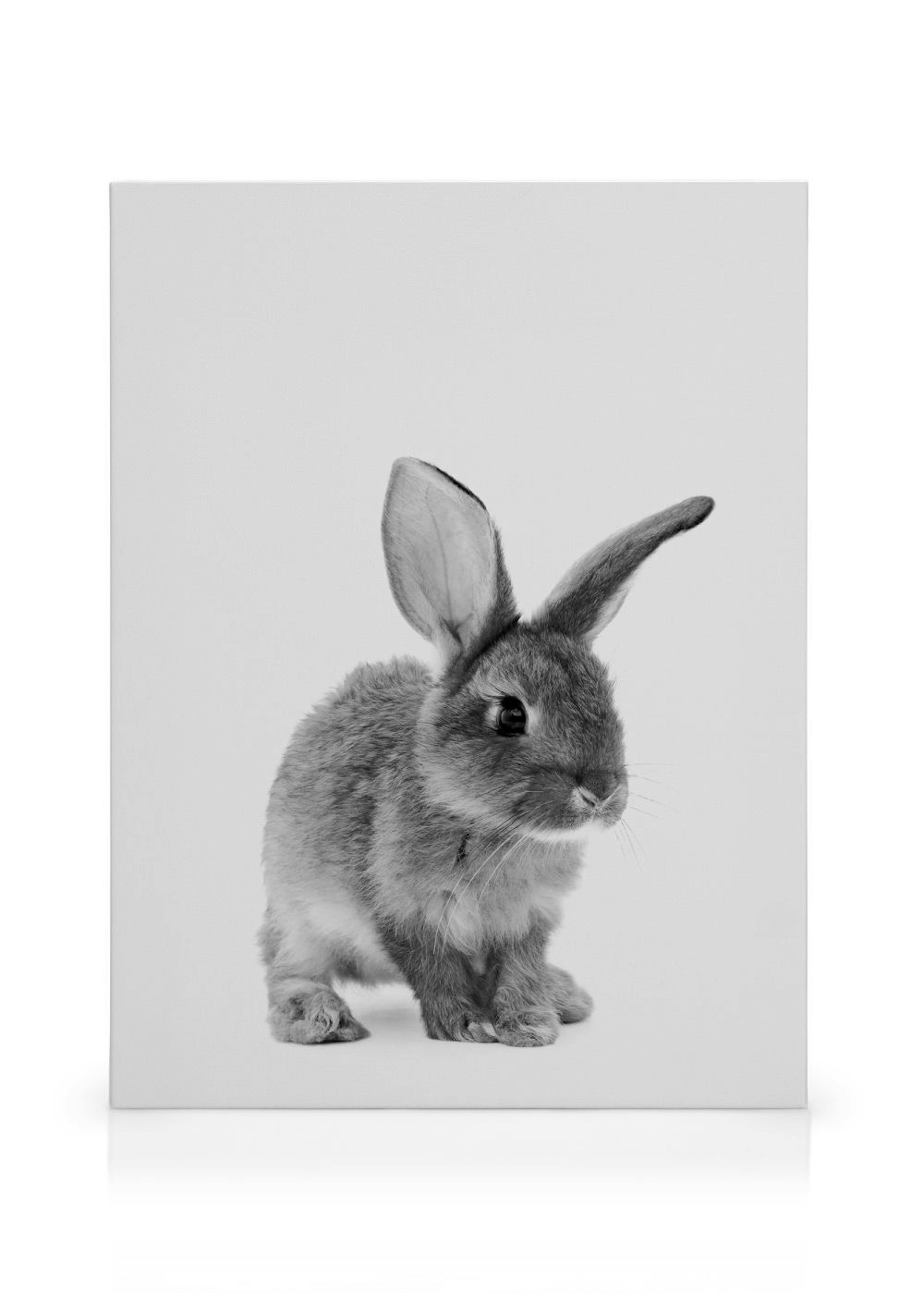 Product image: 1
