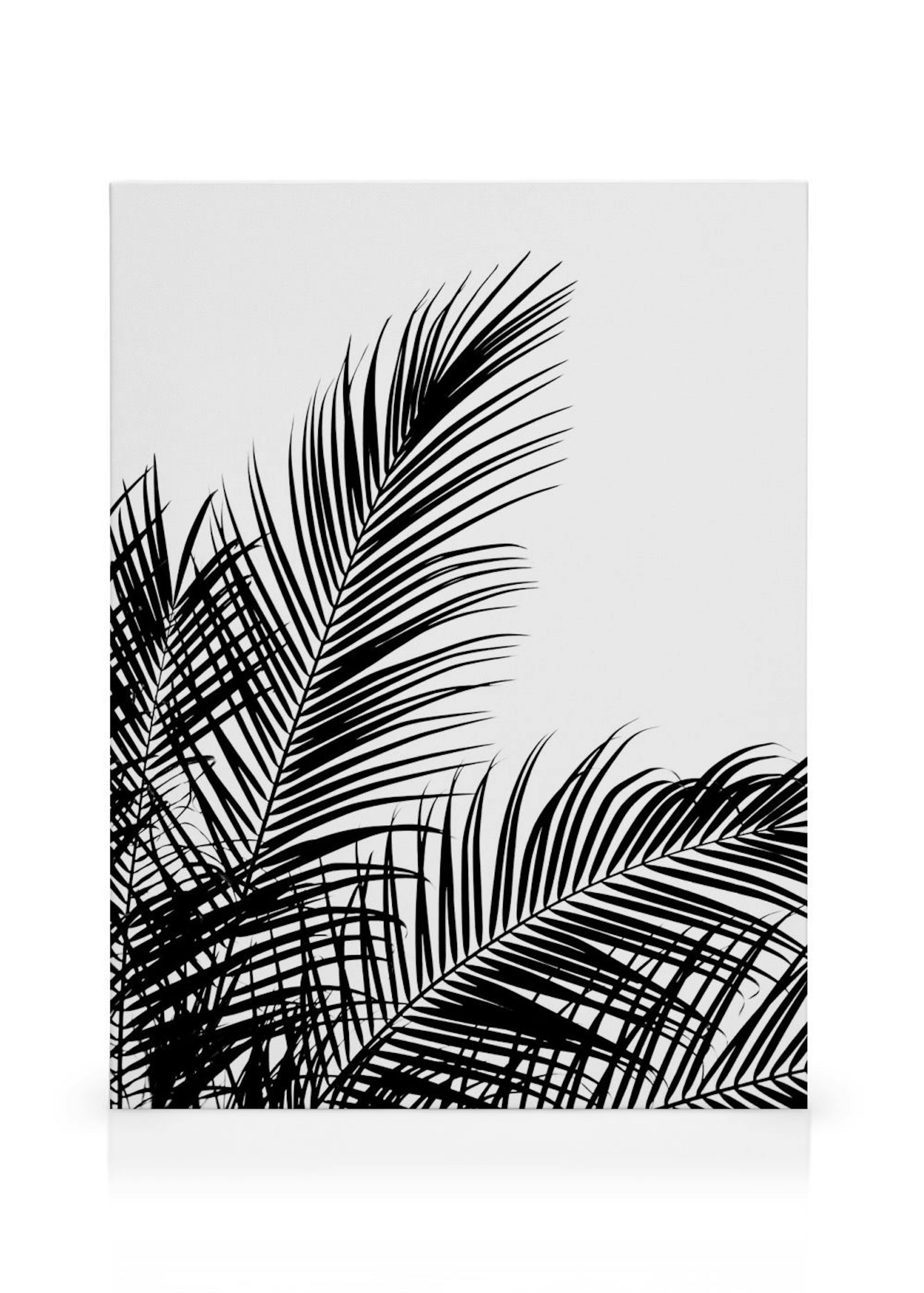 Black Palm Tree Two Obraz na plátne