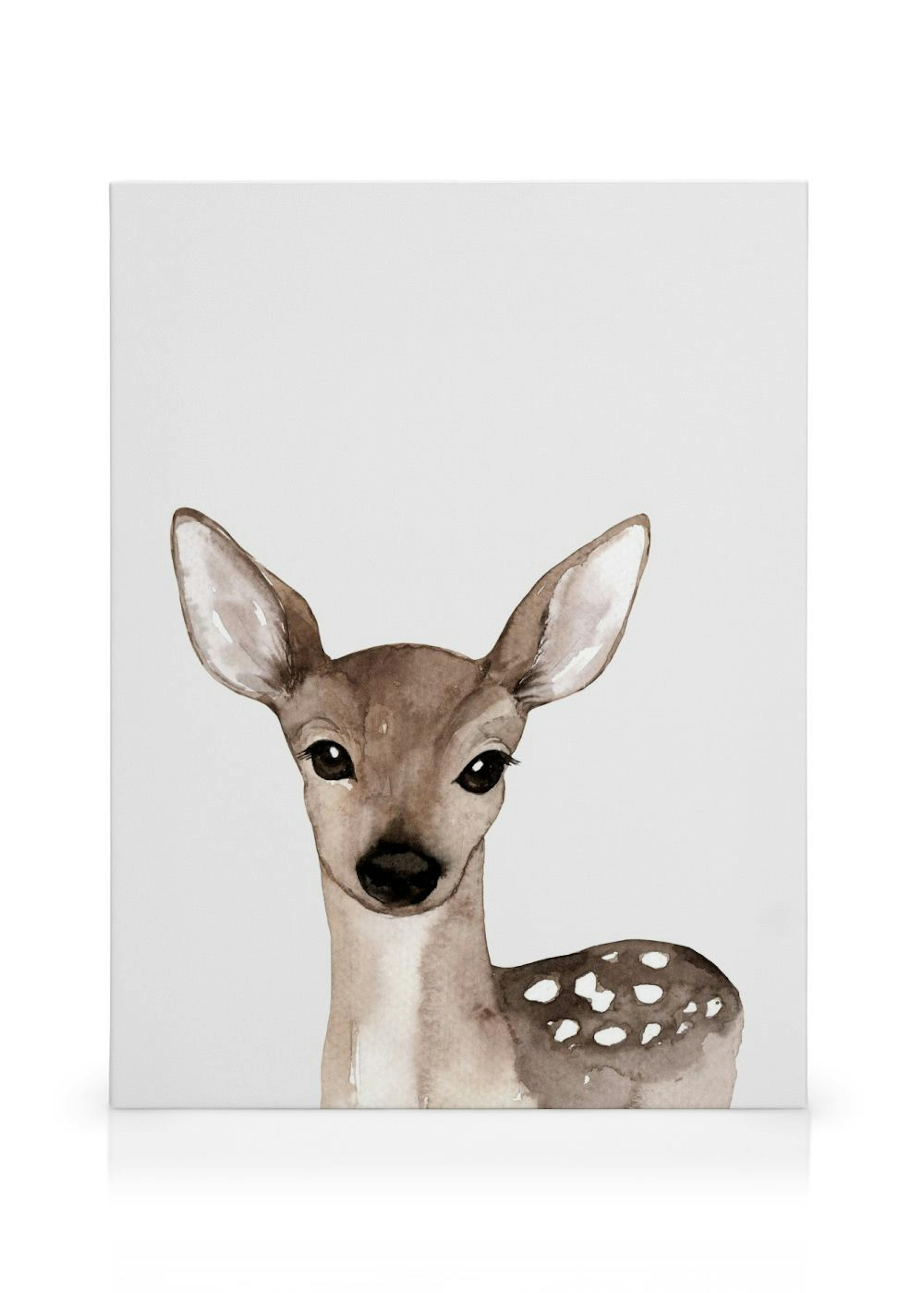 Little Deer Canvas