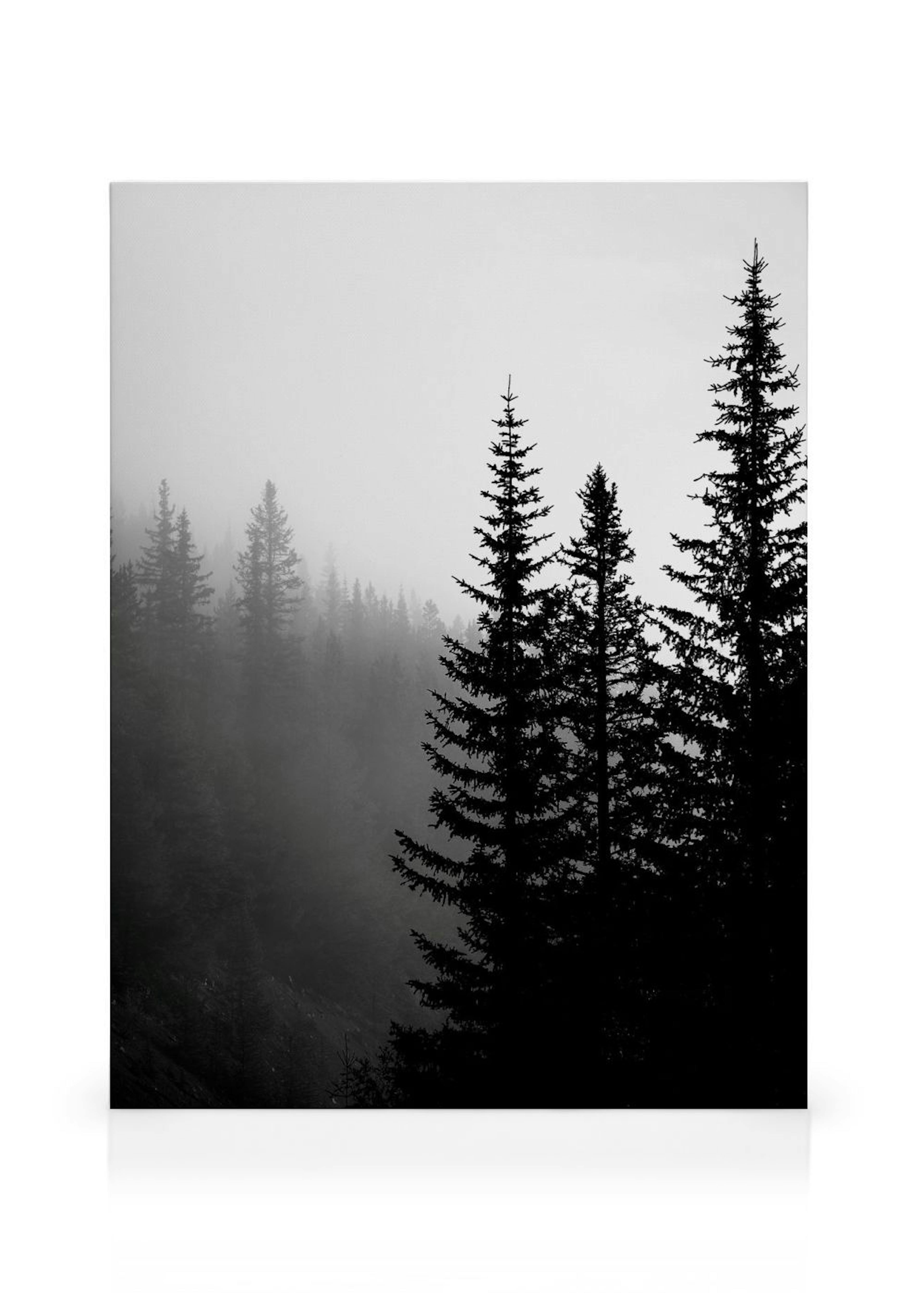 Product image: 1