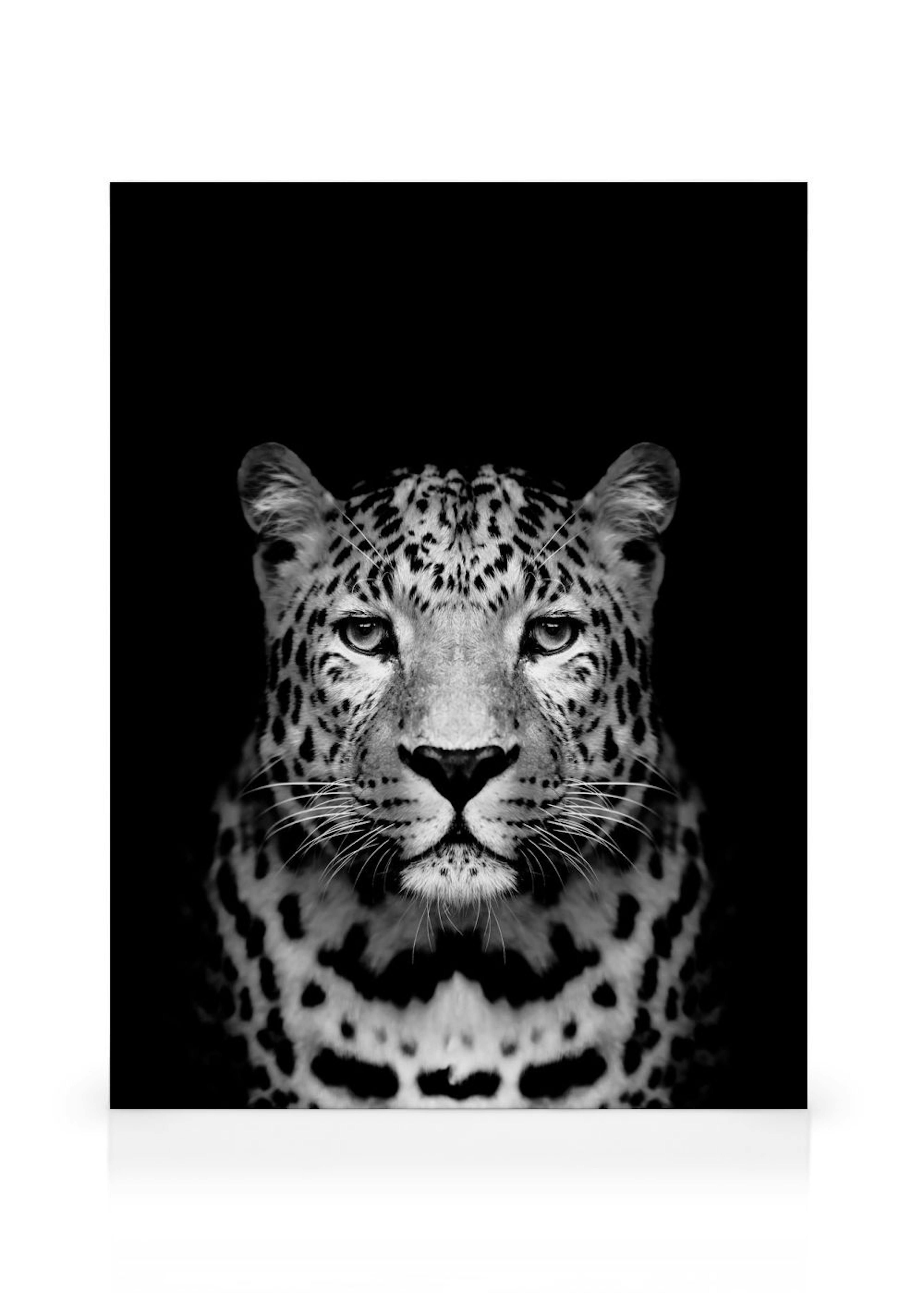 Leopard B&W Leinwandbild