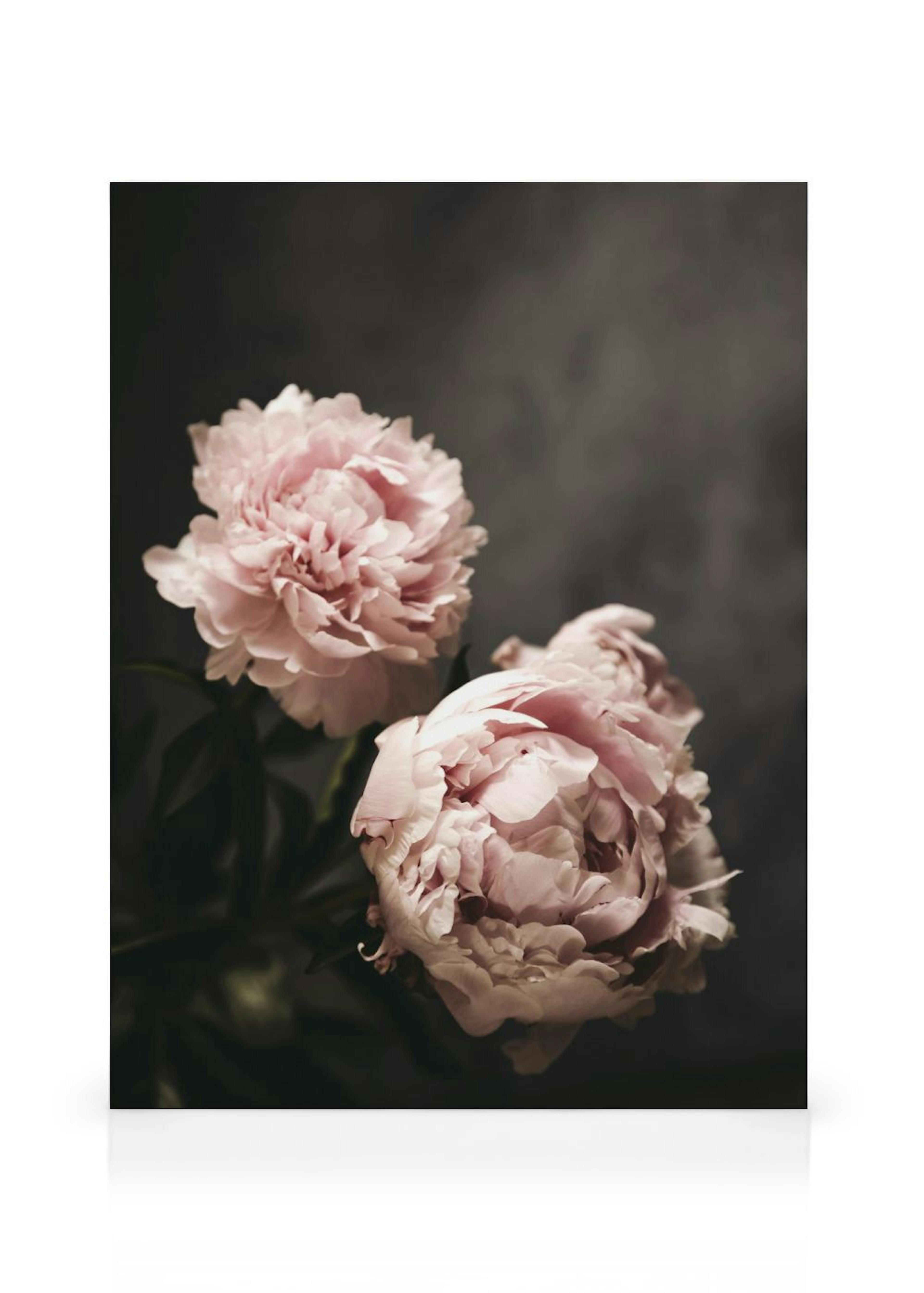 Product image: 1