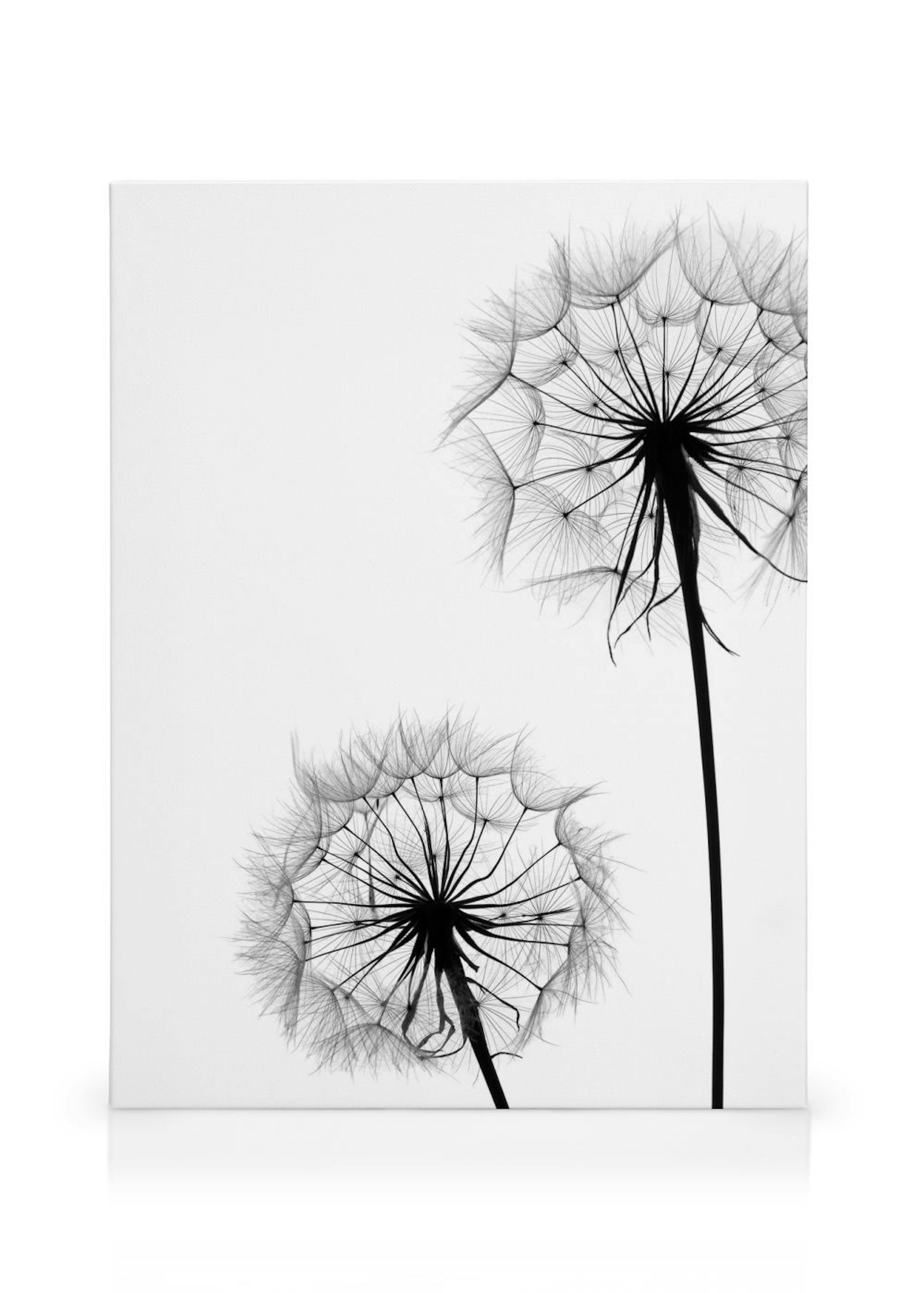Product image: 1