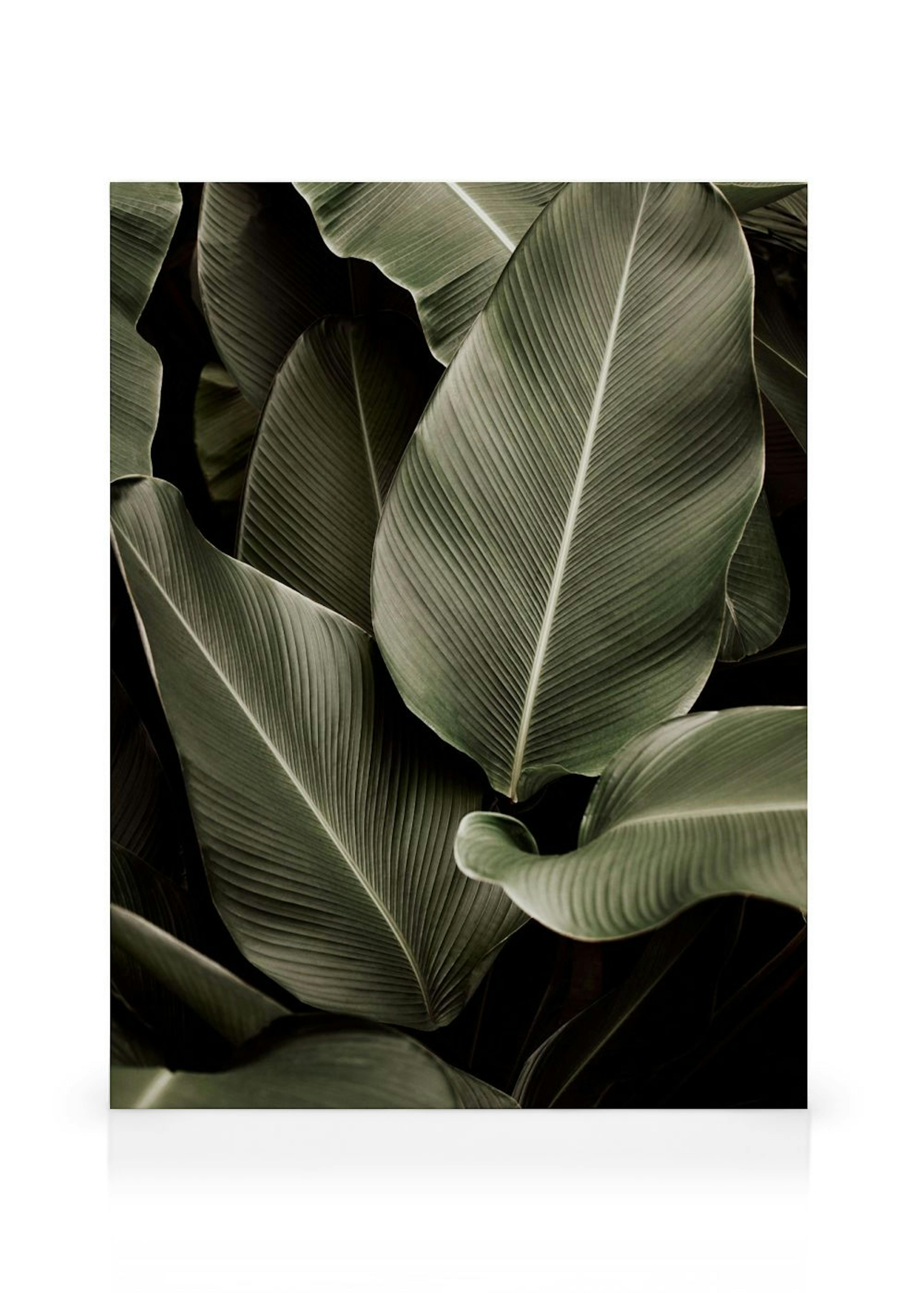Green Symphony Canvas print