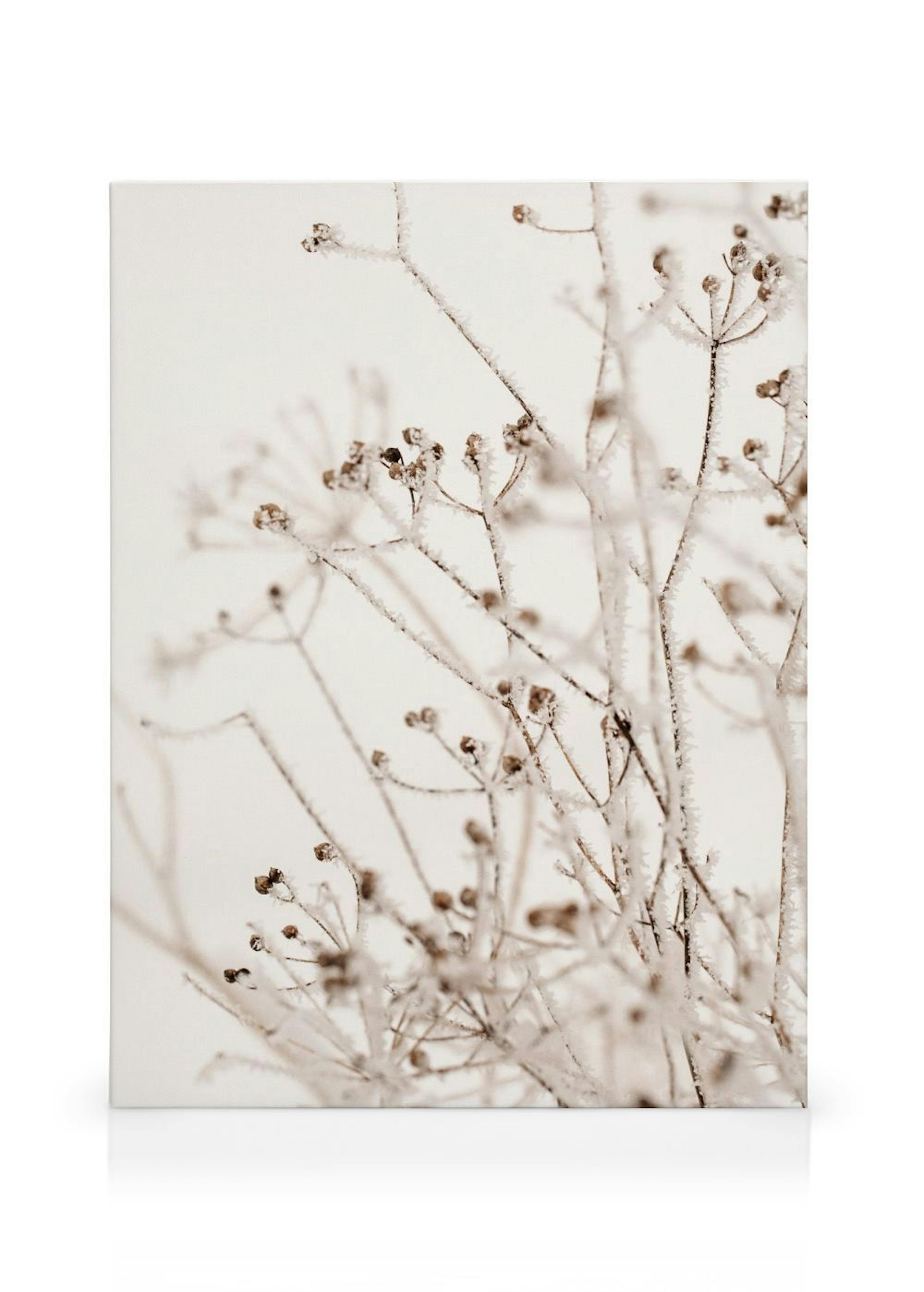 Product image: 1
