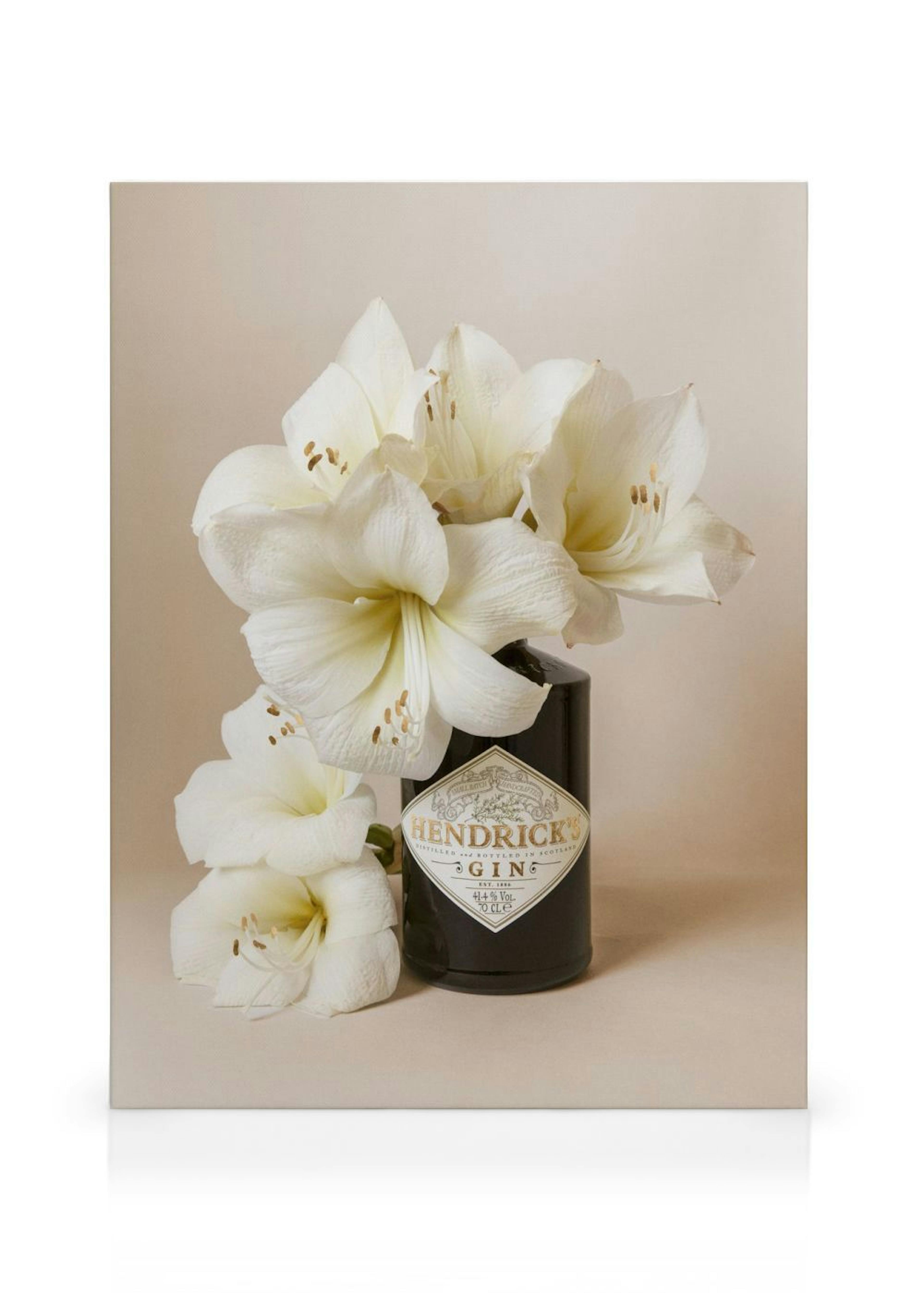 Product image: 1