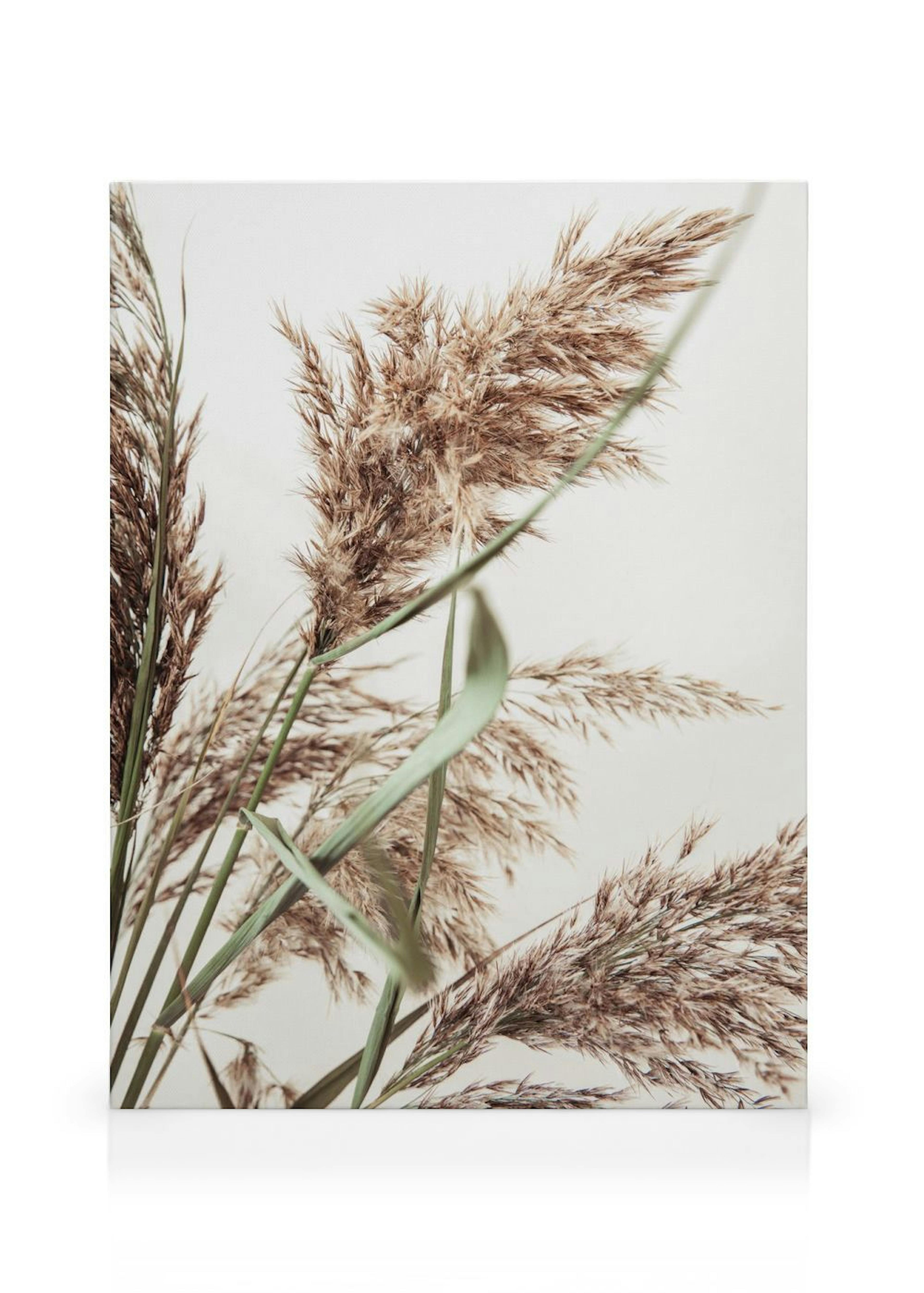 Product image: 1