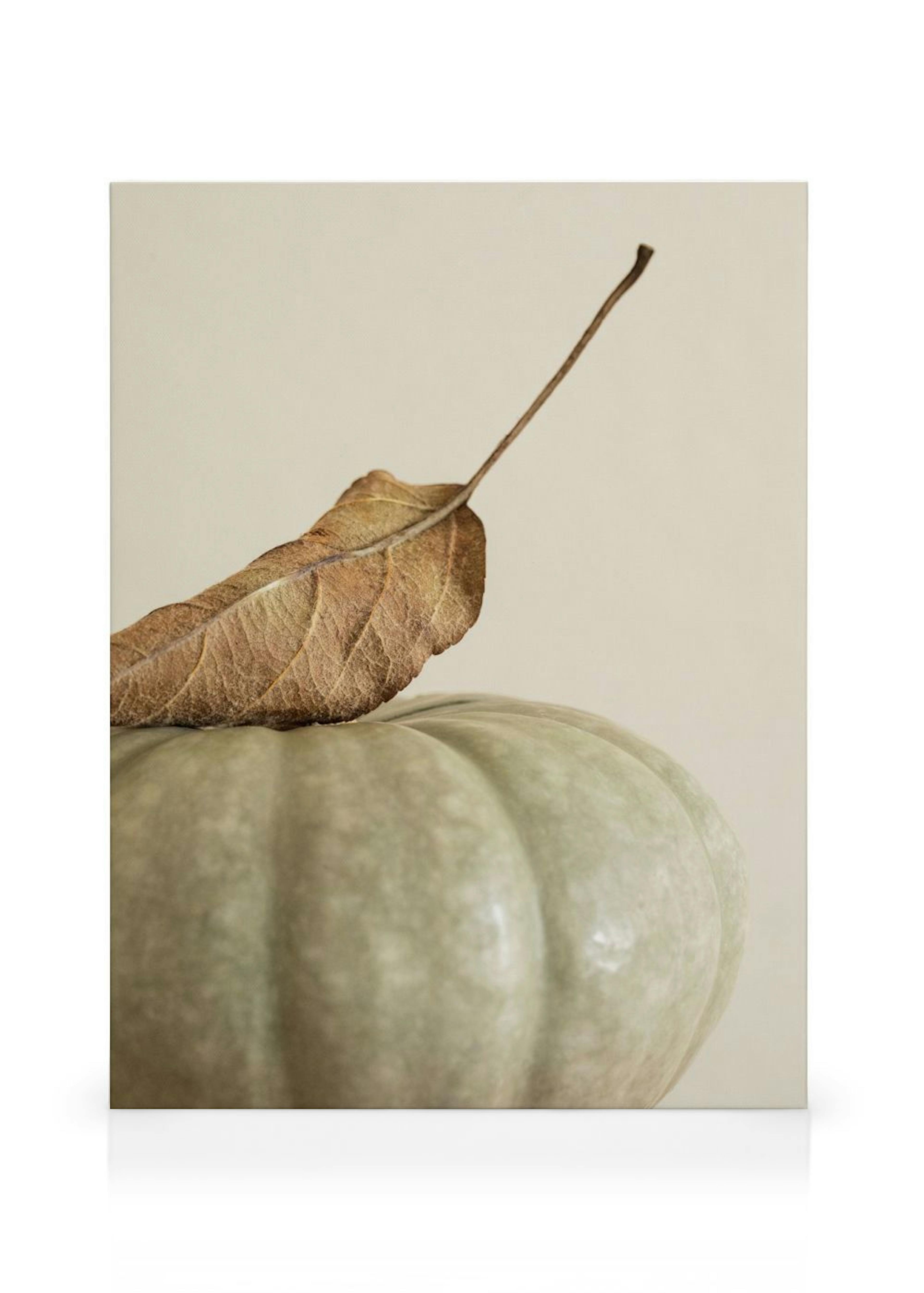 Still Life Autumn Canvas print
