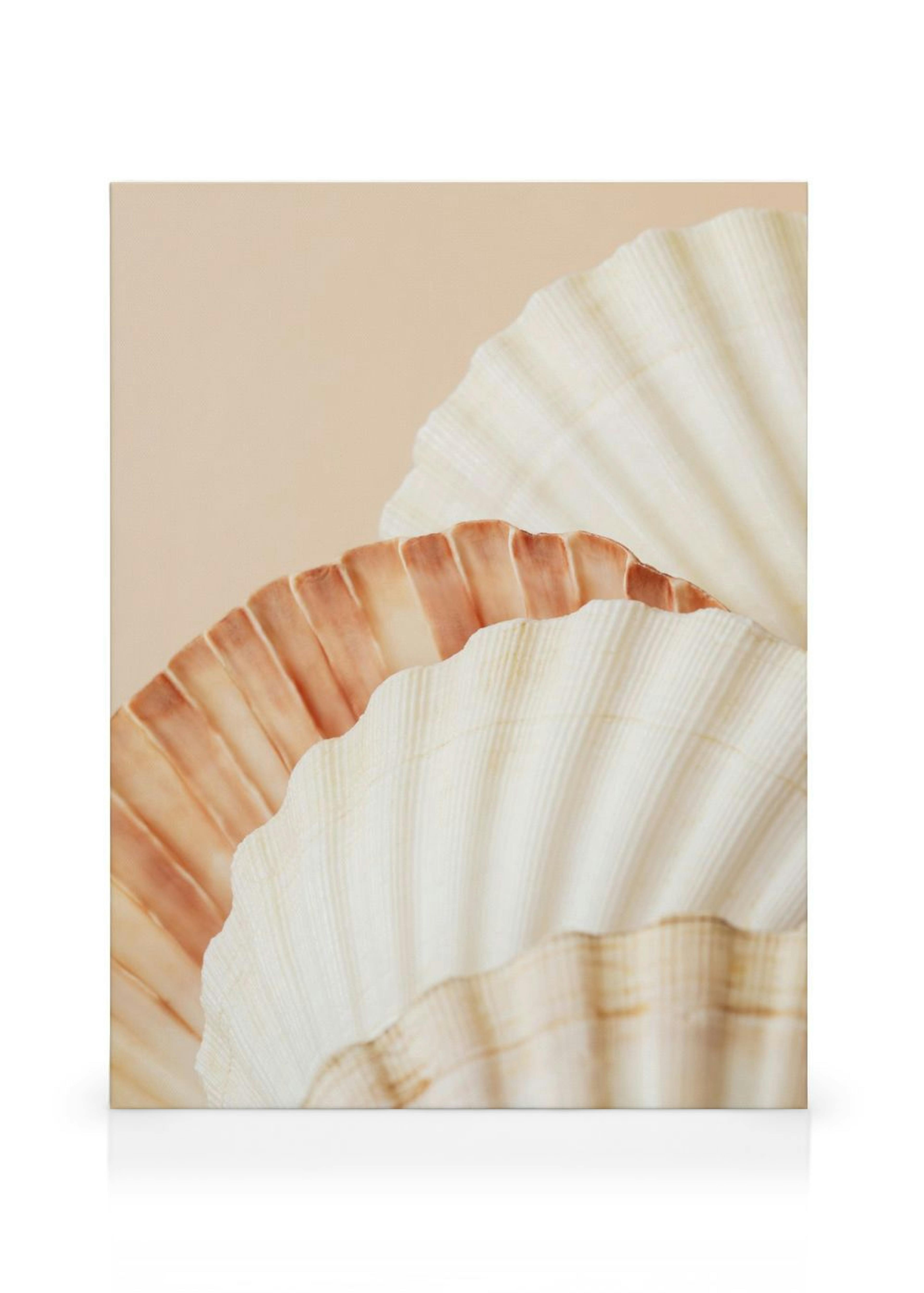 Product image: 1