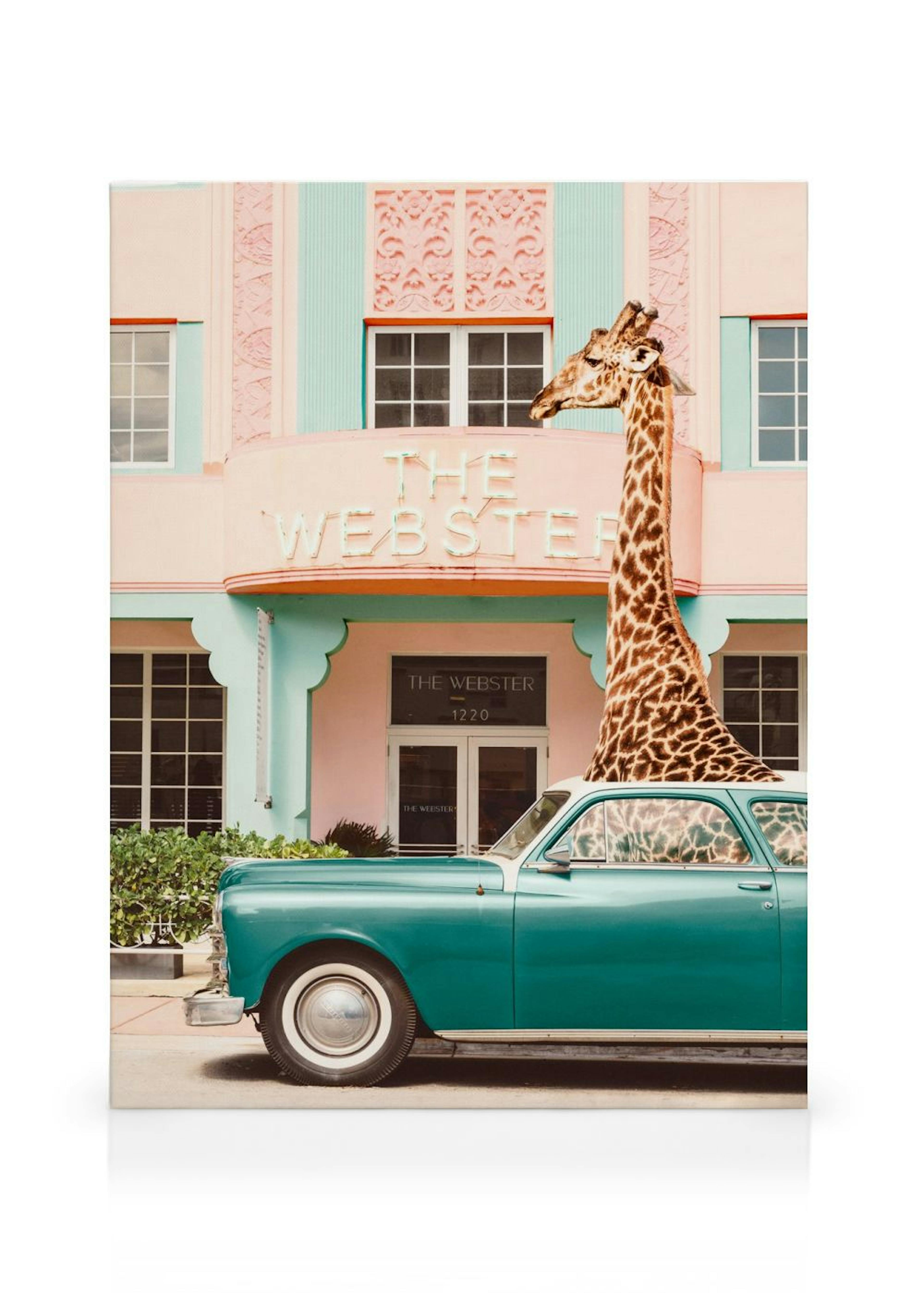 Product image: 1