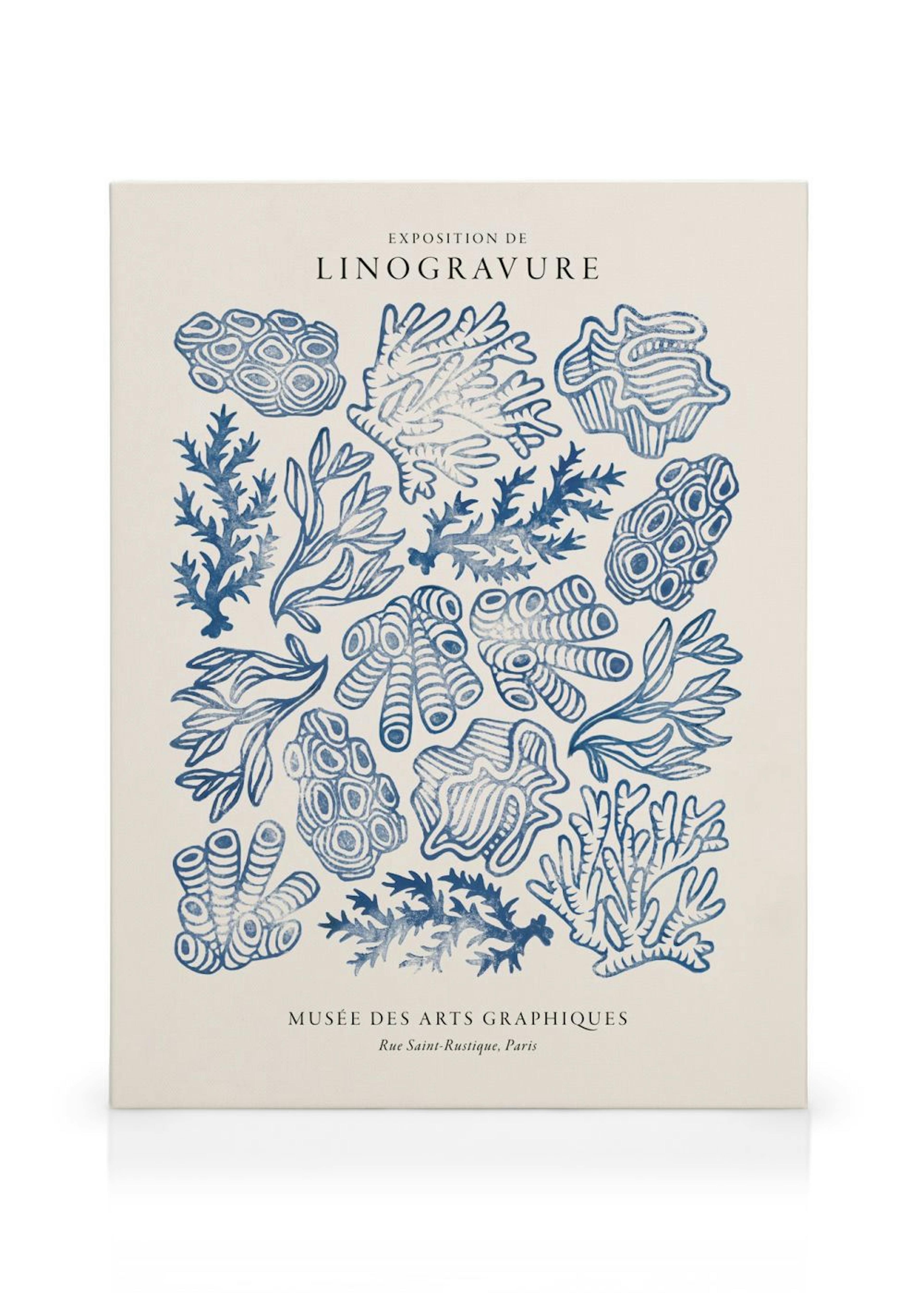 Linocut Corals Obraz na plátně