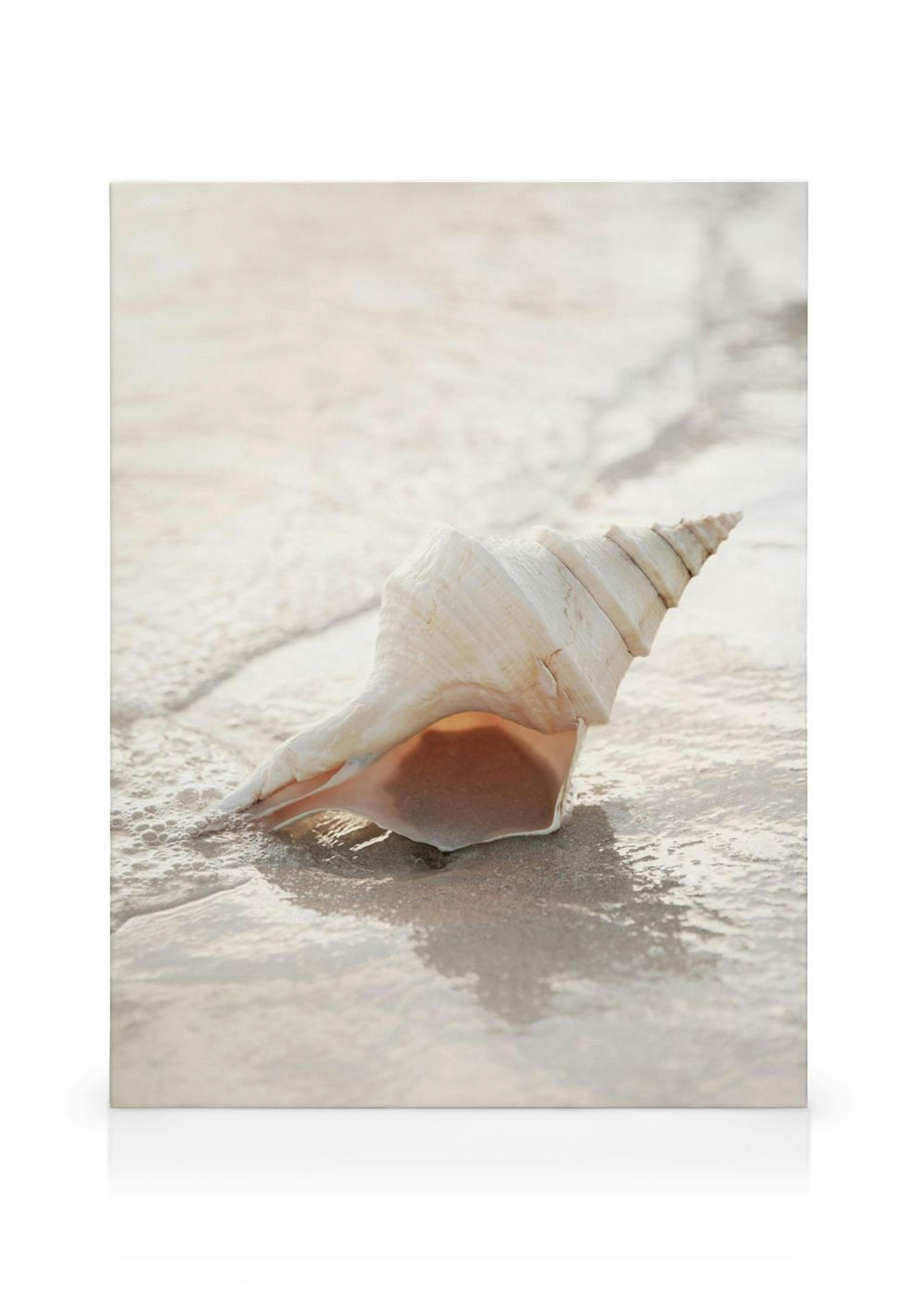 Product image: 1
