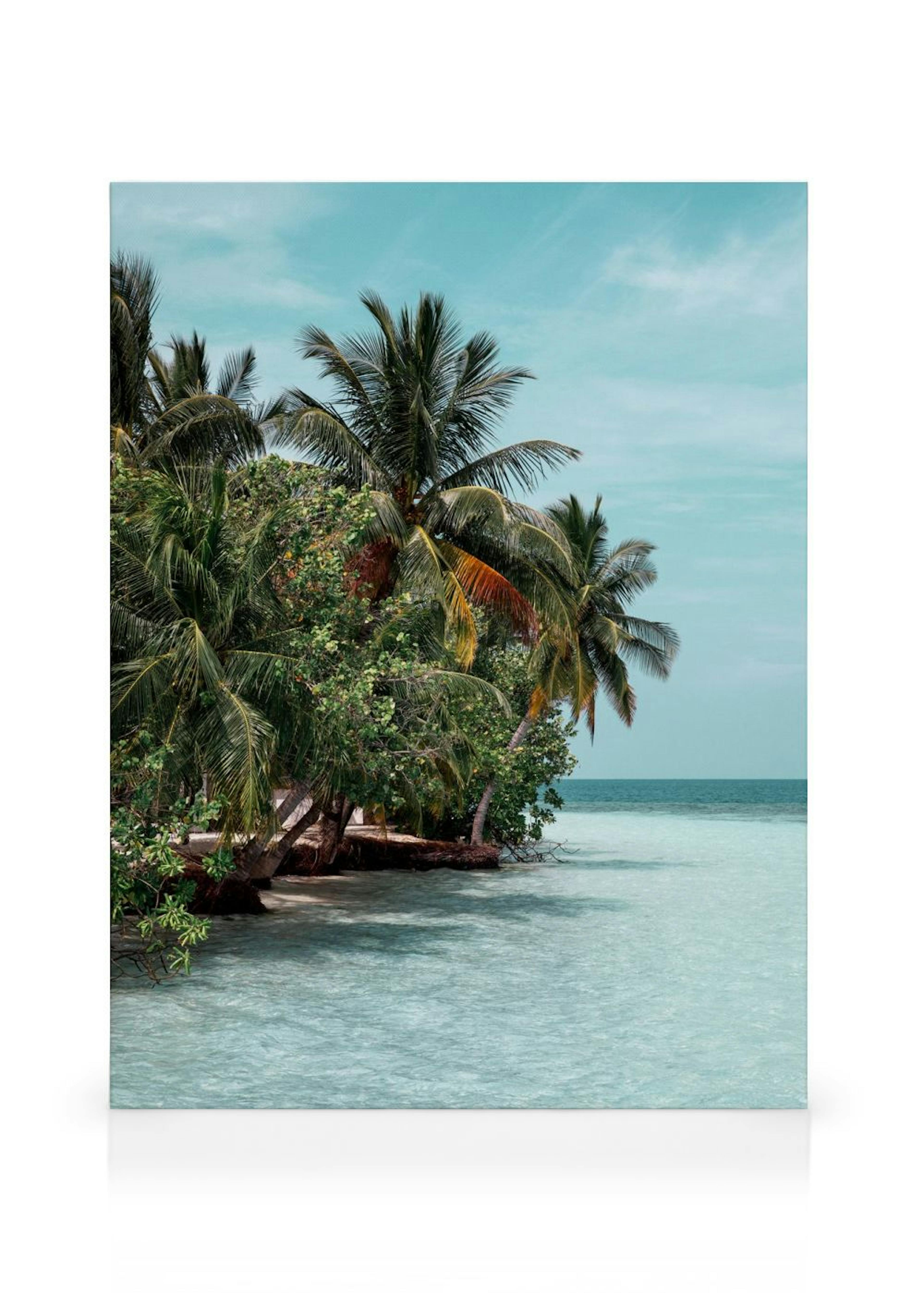 Product image: 1