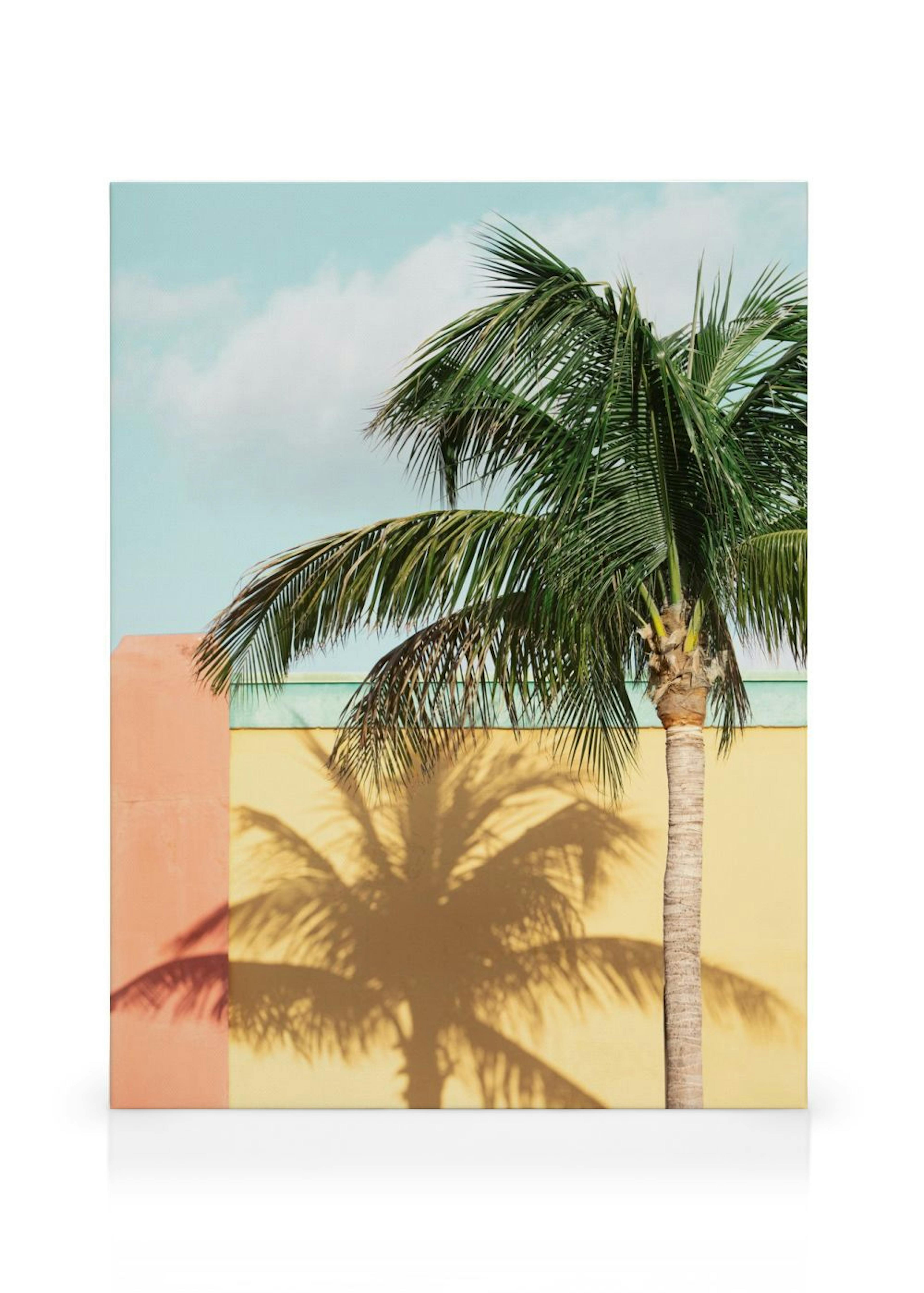 Sun-drenched Palm Canvas