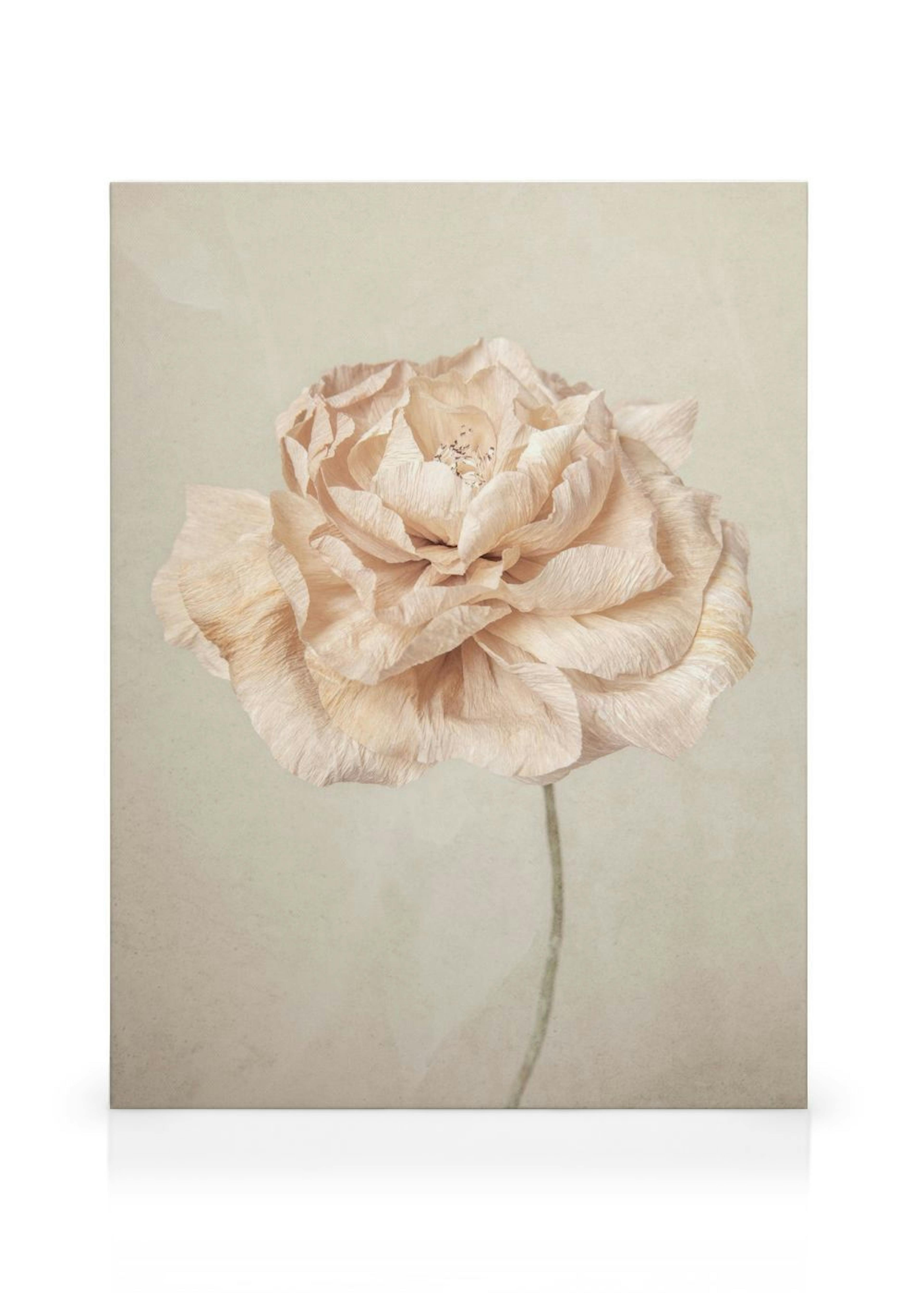 Product image: 1