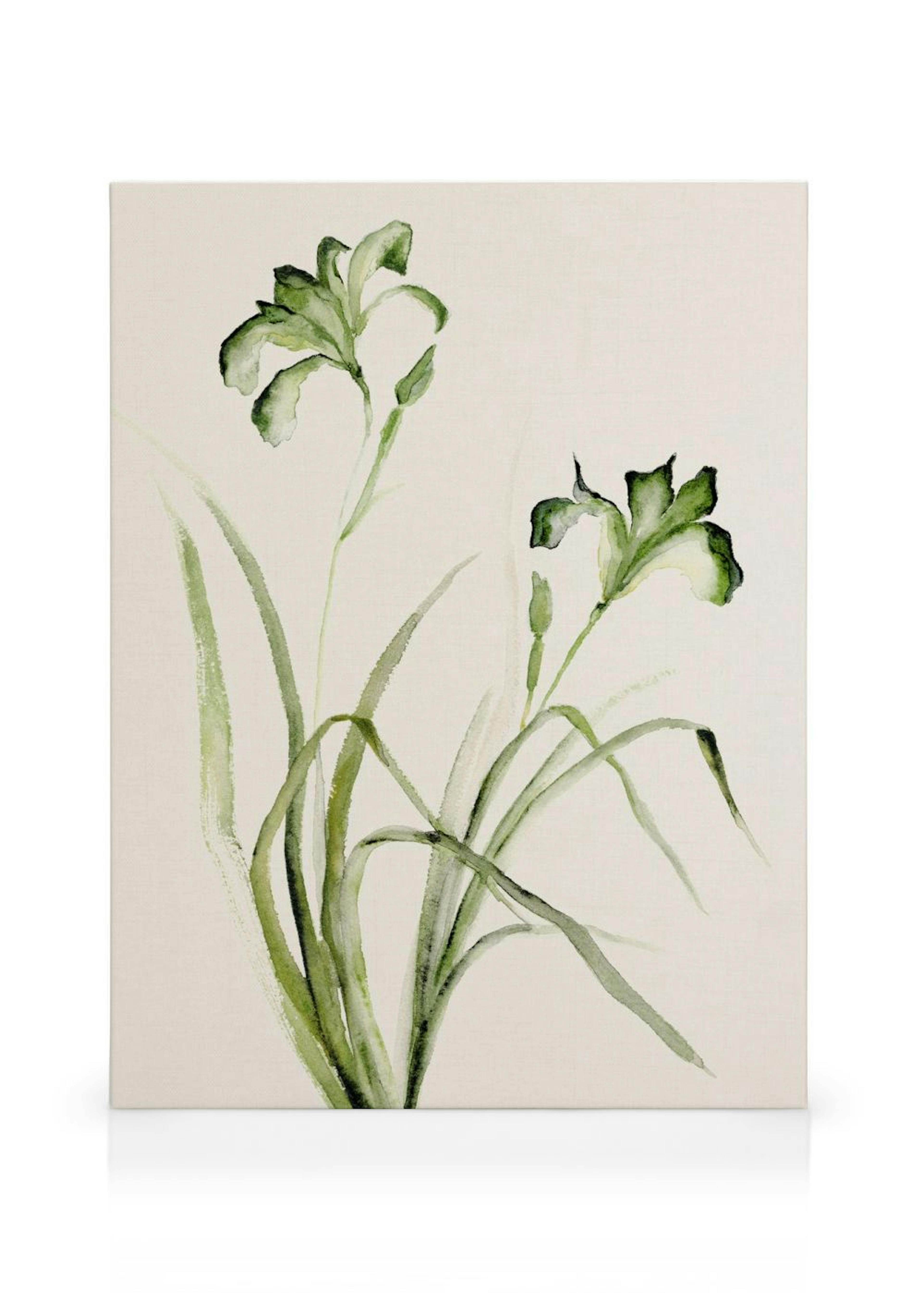 Product image: 1