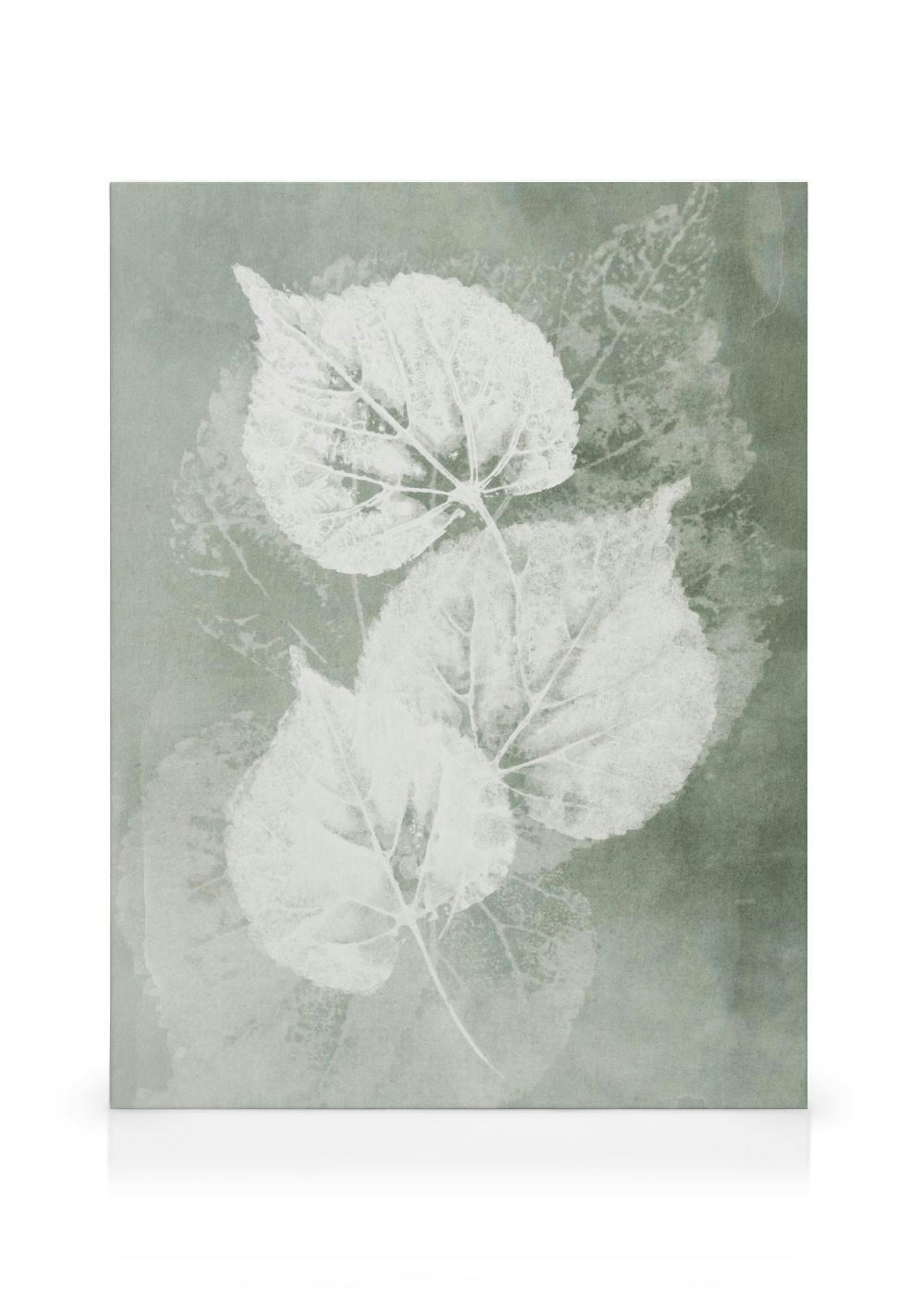 Pressed Leaves Leinwandbild