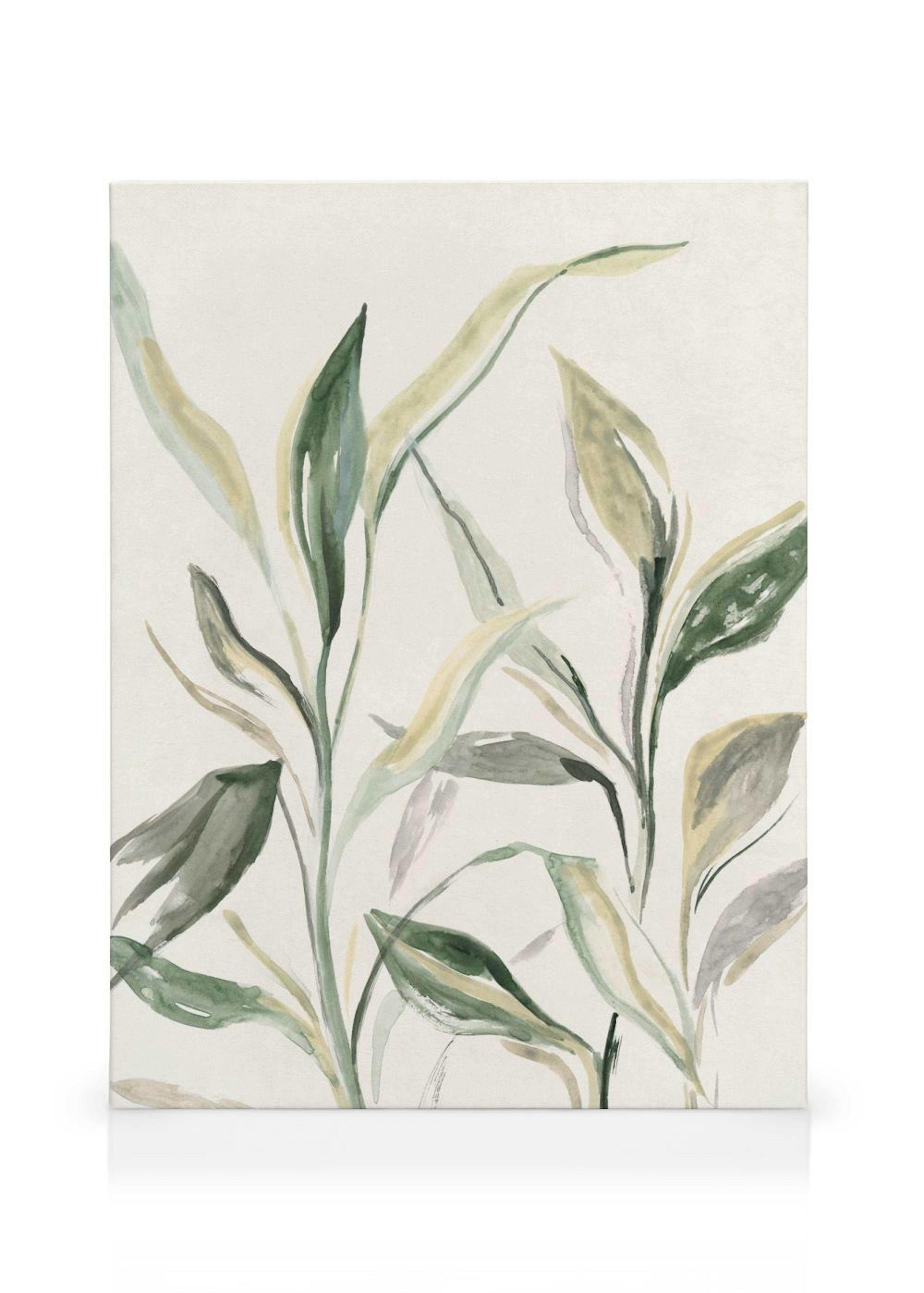 Painted Plant Canvas print