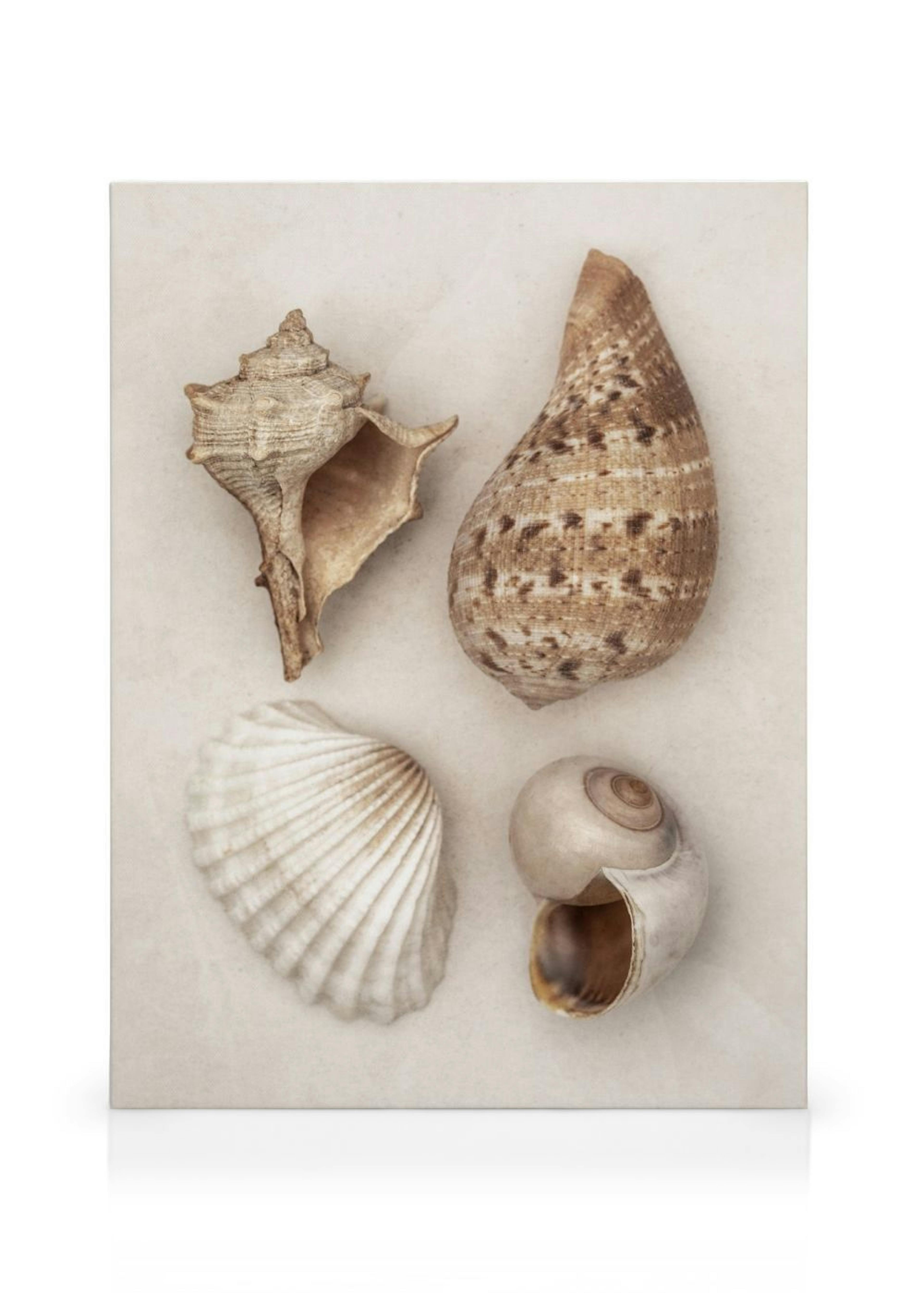 Product image: 1
